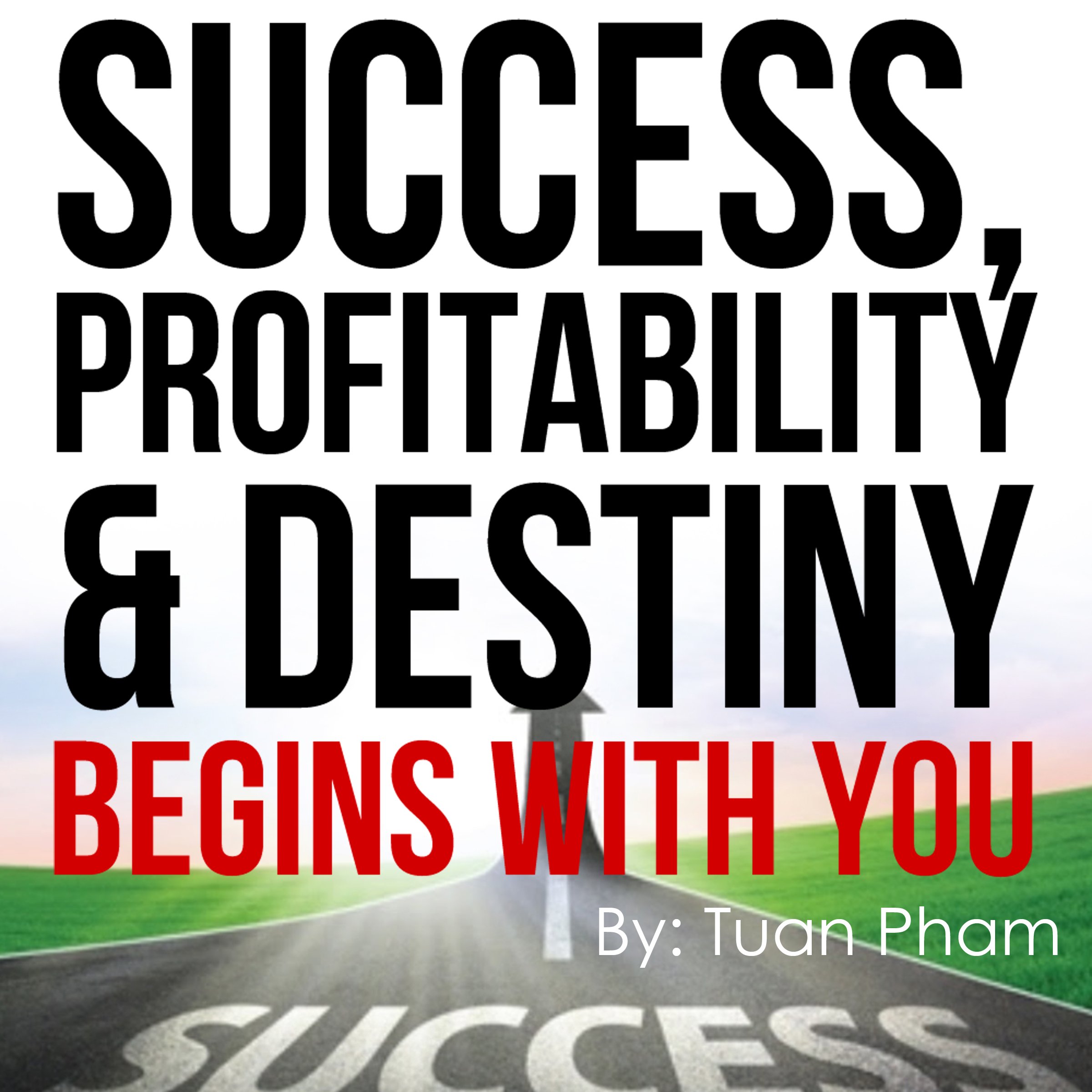 Cover art for Success, Profitability & Destiny Begins with You