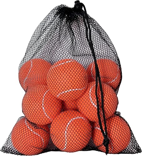 Pelotas de tenis, paquete de 12 pelotas de tenis de práctica avanzada para principiantes, pelotas de tenis de entrenamiento para perros y mascotas