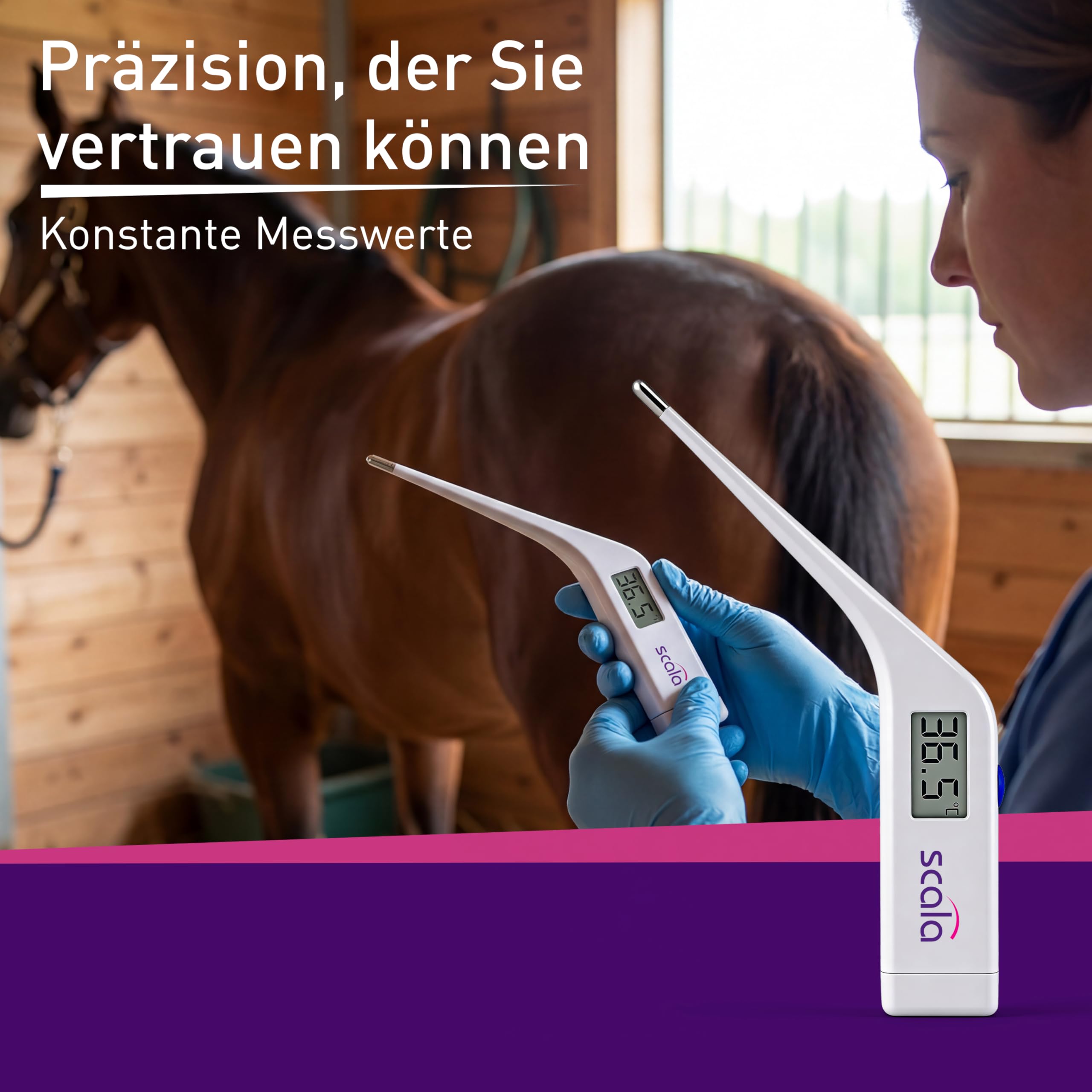 Scala SC 212 - Termometro Veterinario, Bianco