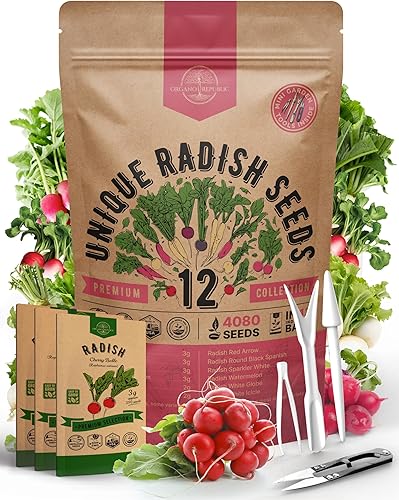 Paquete variado de 12 semillas de rábano para plantar en interiores y exteriores, más de 2400 semillas de rábano a granel sin OMG Daikon, Cherry