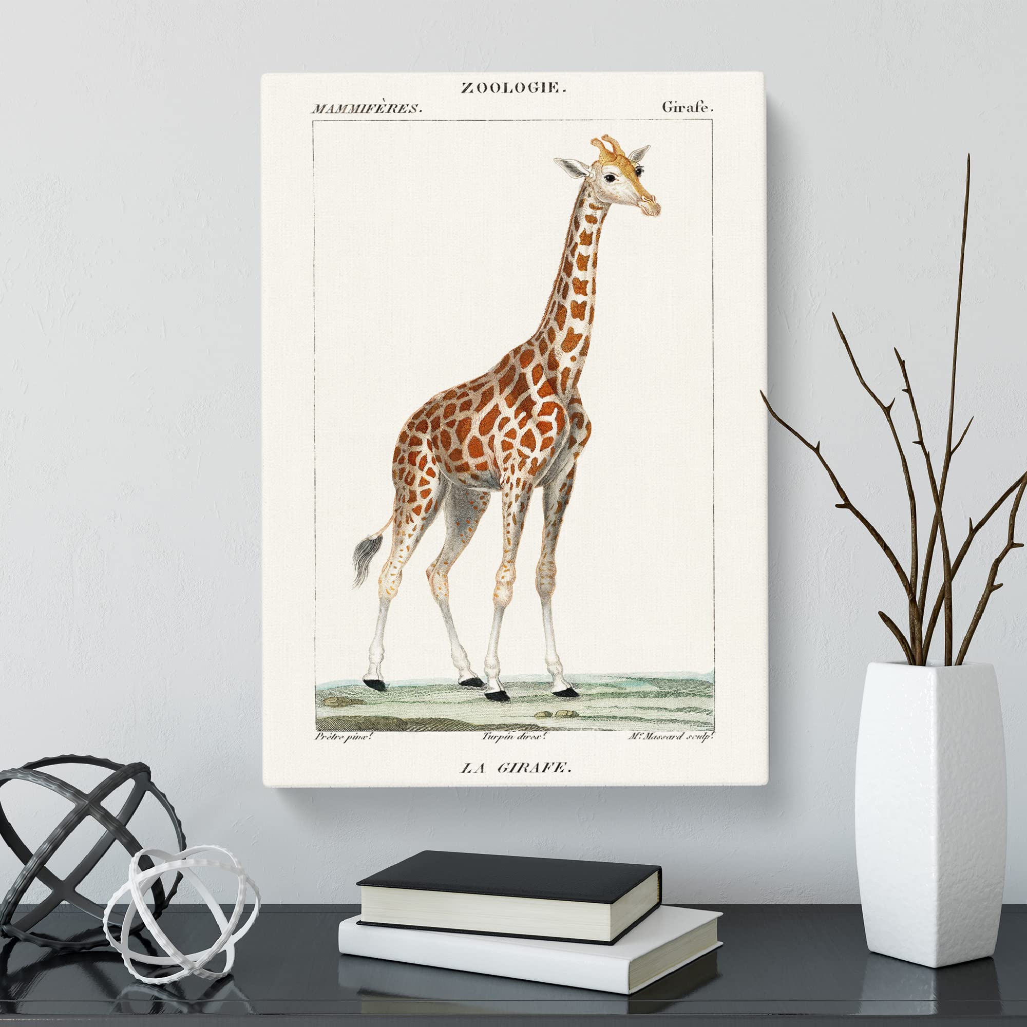 Giraffe By P.J.F. Turpin Canvas Print, Mixed, 25L x 50W cm - Image 2