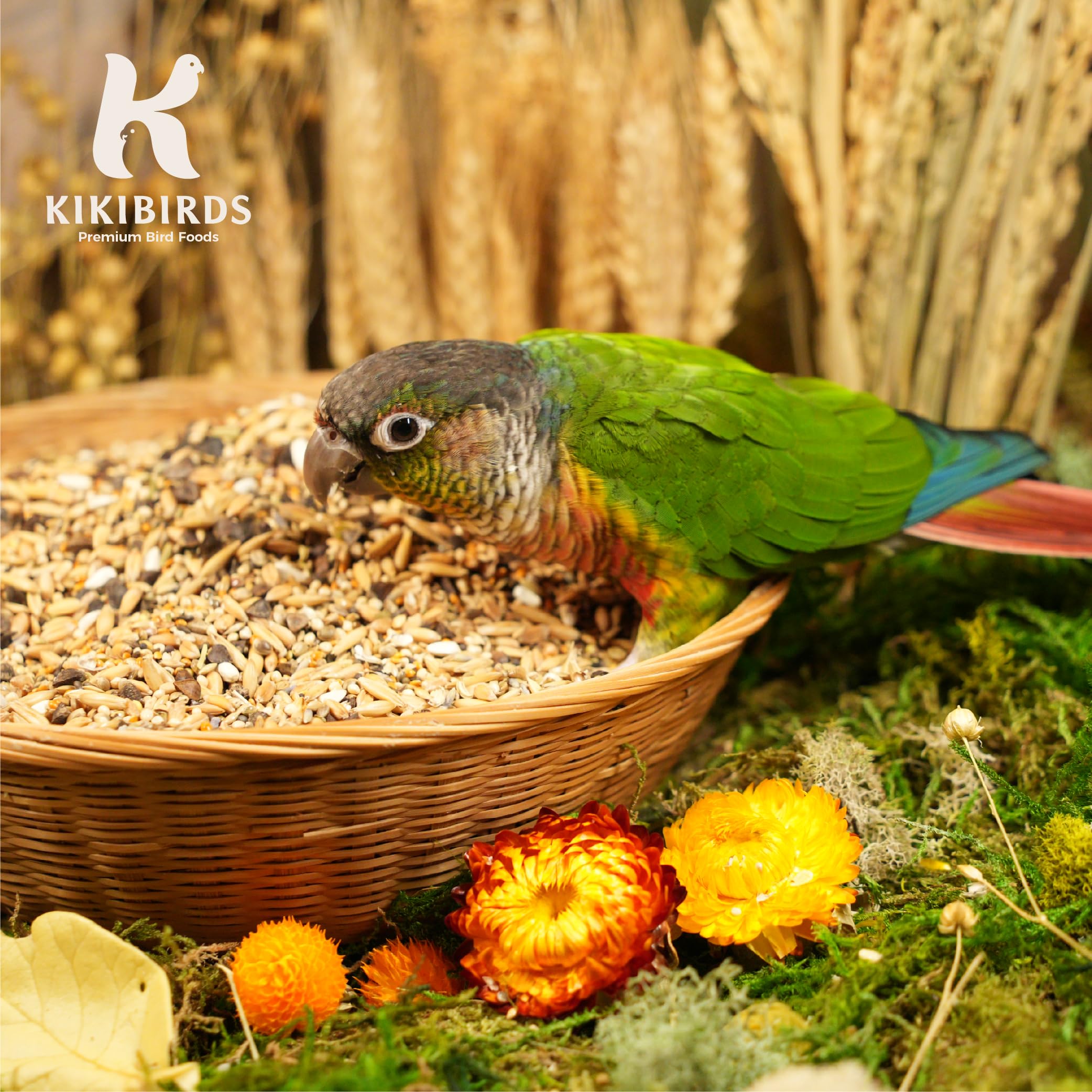 Feather Shine - Miscela ad alta potenza con polline d'api e germogli liofilizzati - Alimento per pappagalli di alta qualità per muta, allevamento e crescita - Ricco di Omega | 17,5% di