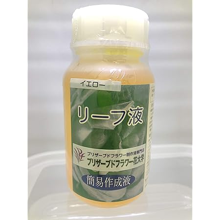 Amazon プリザーブドフラワーリーフ液 簡易液 0cc 色 グリーン プリザーブドフラワー オンライン通販