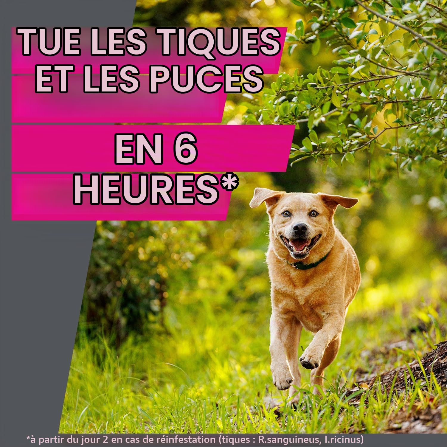 FRONTLINE TRI-ACT Chien S contre les tiques, les puces et les moustiques (5 à 10 kg)