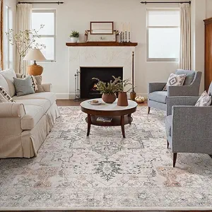 GENIMO 6x9 Area Rugs for Living Room, Machine Washable Low Pile Rugs, Chenille Non Alip Vintage Rug for Bedroom, Dining Room, Home Office, Light Taupe Brown