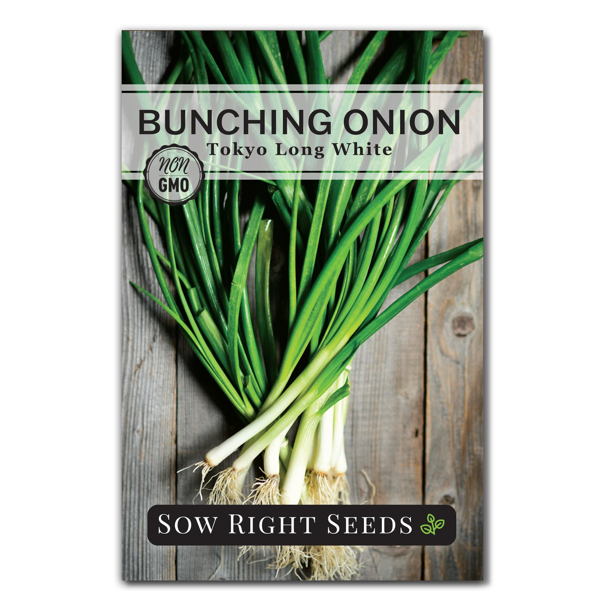 Sow Right Seeds - Tokyo Long White Bunching Onion Seeds for Planting - Perfect for Planting Outdoors or Indoors - Non-GMO Heirloom Green Onions - Easy