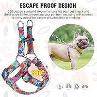 Vista 4 de BEAUTYZOO No Pull Dog Harness and Leash Set - Adjustable Step-in Puppy Harness for Small Medium Large Dogs, Escape Proof Soft Nylon Vest with Double