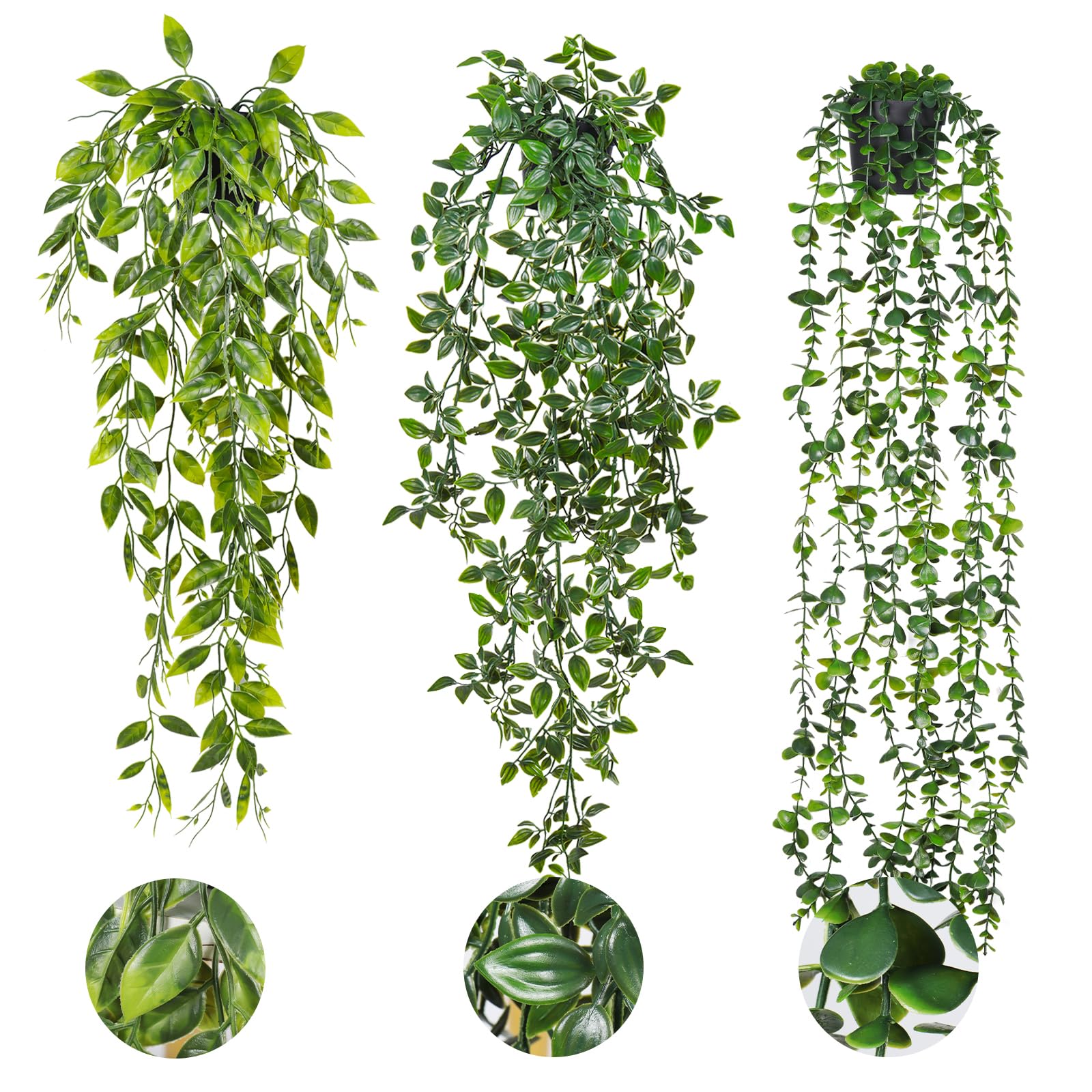 RECUTMS 3 Pack Trailing Plants