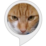 アメーバブログ、座敷童子の「夢の国へようこそ」