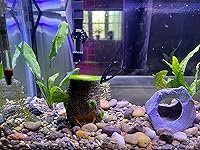 Review Image by Kelli Ward Kelli Ward