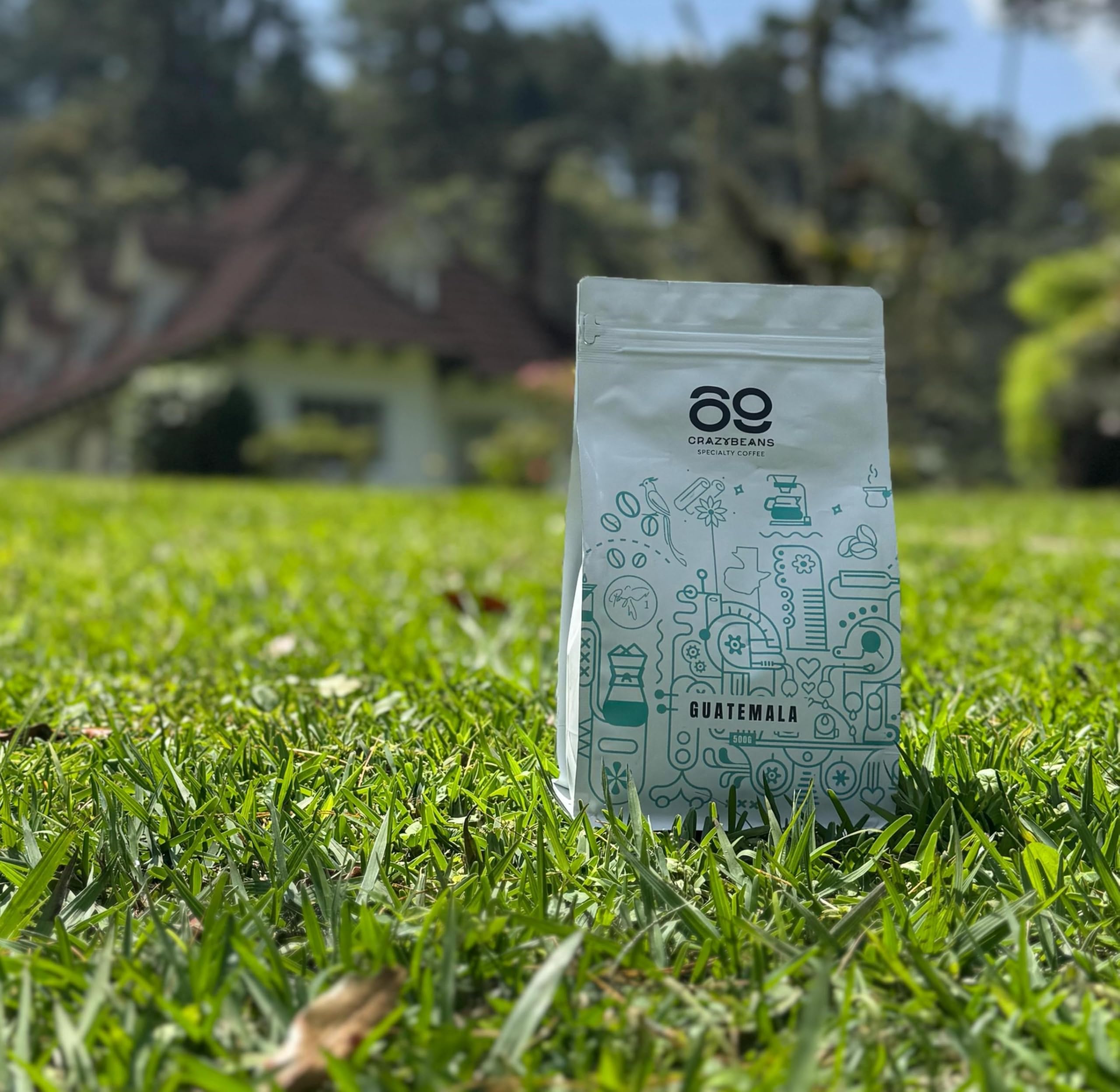 Cafe de Especialidad en Grano | Guatemala Caturra,Bourbon | 100% Arábica | Lavado con fermentación | 1600m | 84 puntos SCA | Huehuetenango,Guatemala | 500g | 69 CrazyBeans Specialty Coffee