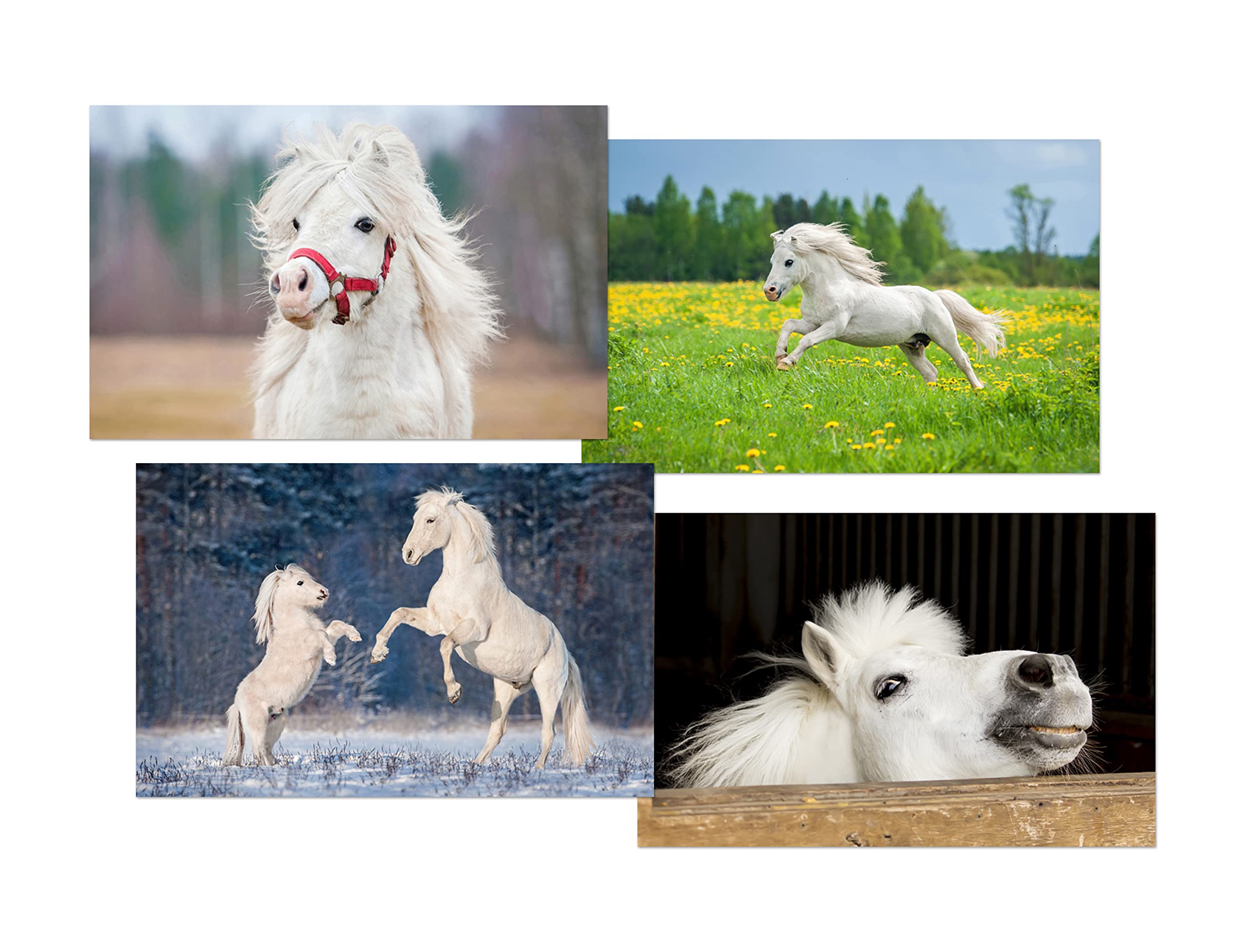 DV DESIGN Set of 4 White Horse White Ballpoint Pens - Animal Pony Equestrian Riding Theme Boys Girls Men Women Stationery Pen #79596 - Image 2