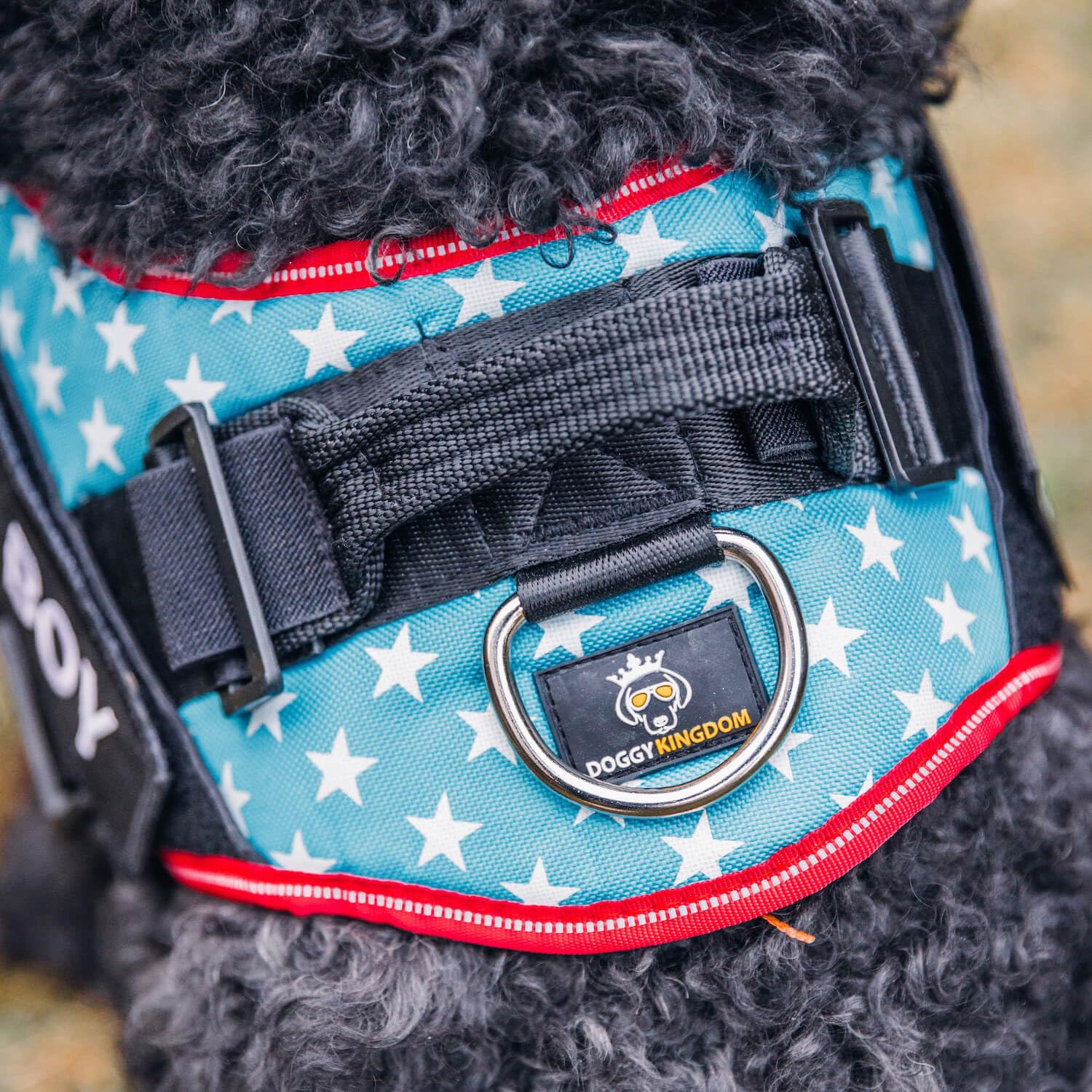 Personalized Dog Harness with Custom Name Patches, No Choke, Reflective, Adjustable, Soft Padded Dog Vest Harness with Easy Control Handle for Medium Sized Dog, Red, M - image 7