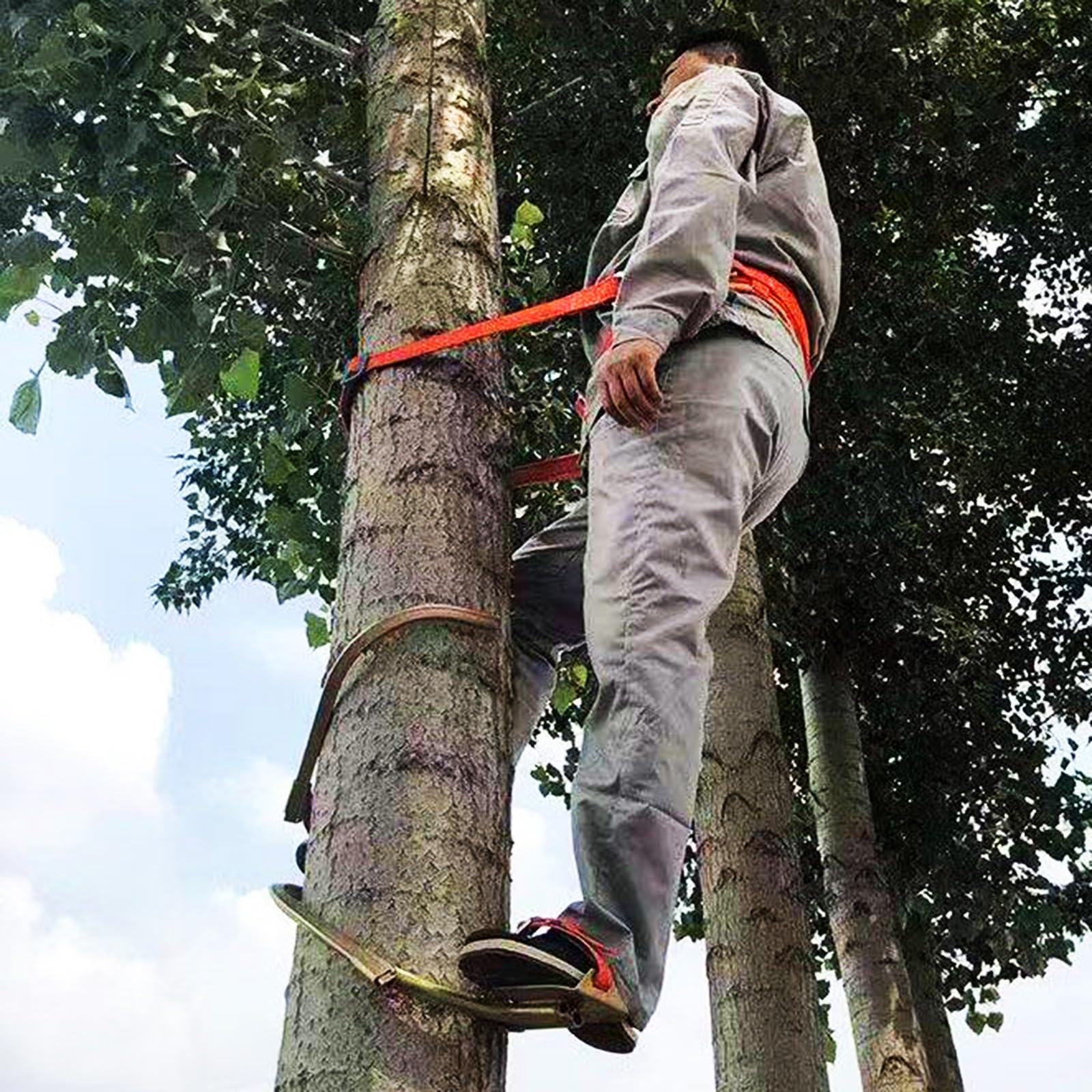 Griffe Elagage Équipement d'escalade sur Poteau De Monteur De Lignes en Bois, Grimpeurs D'arbres avec Pointes en Dents De Scie en Acier pour Couper des Arbres