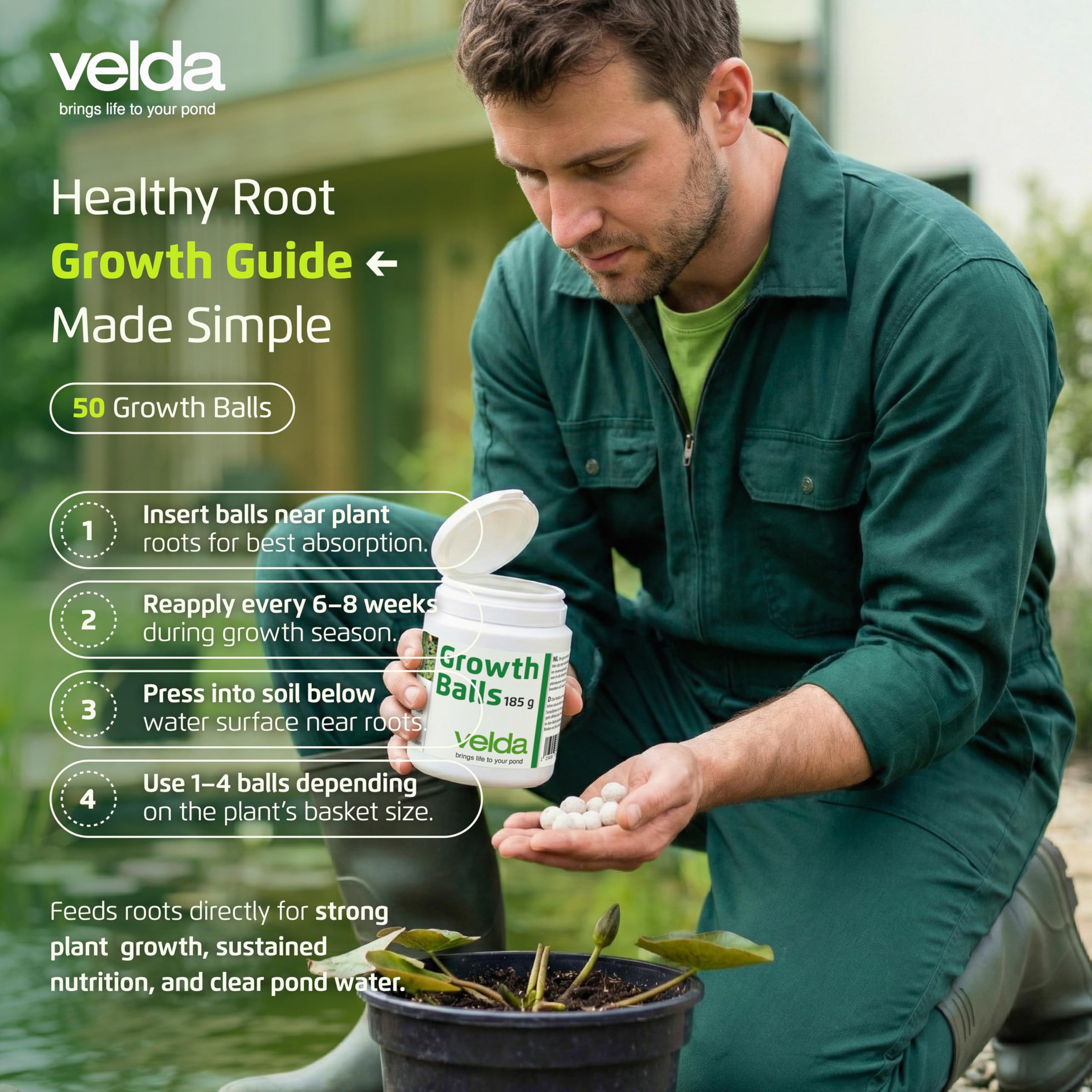 Velda 122250 fertilizante para plantas acuáticas, 50 bolas – bolas de crecimiento
