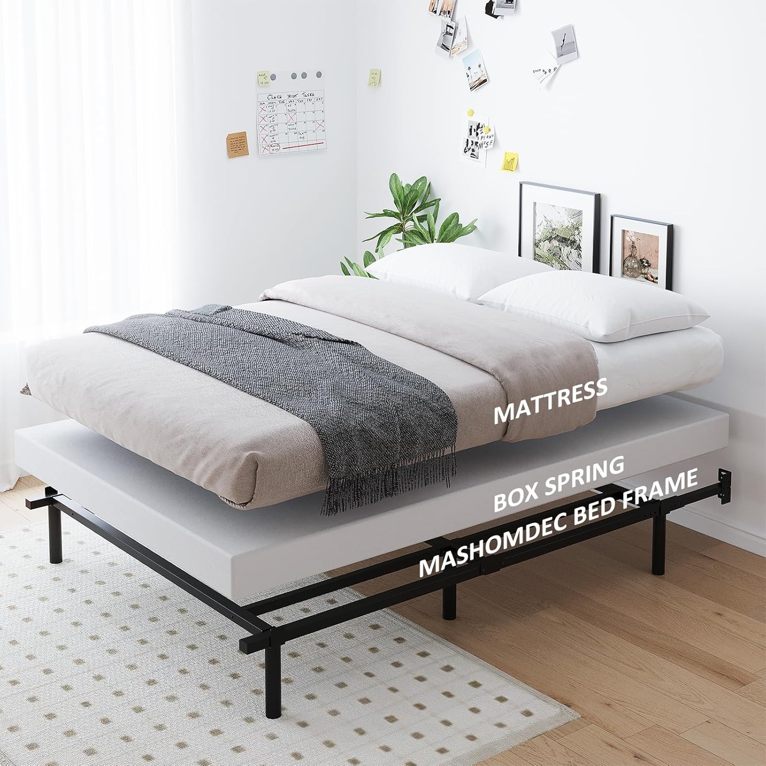 https://m.media-amazon.com/images/I/81yY24-WglL._AC_SL1500_.jpg