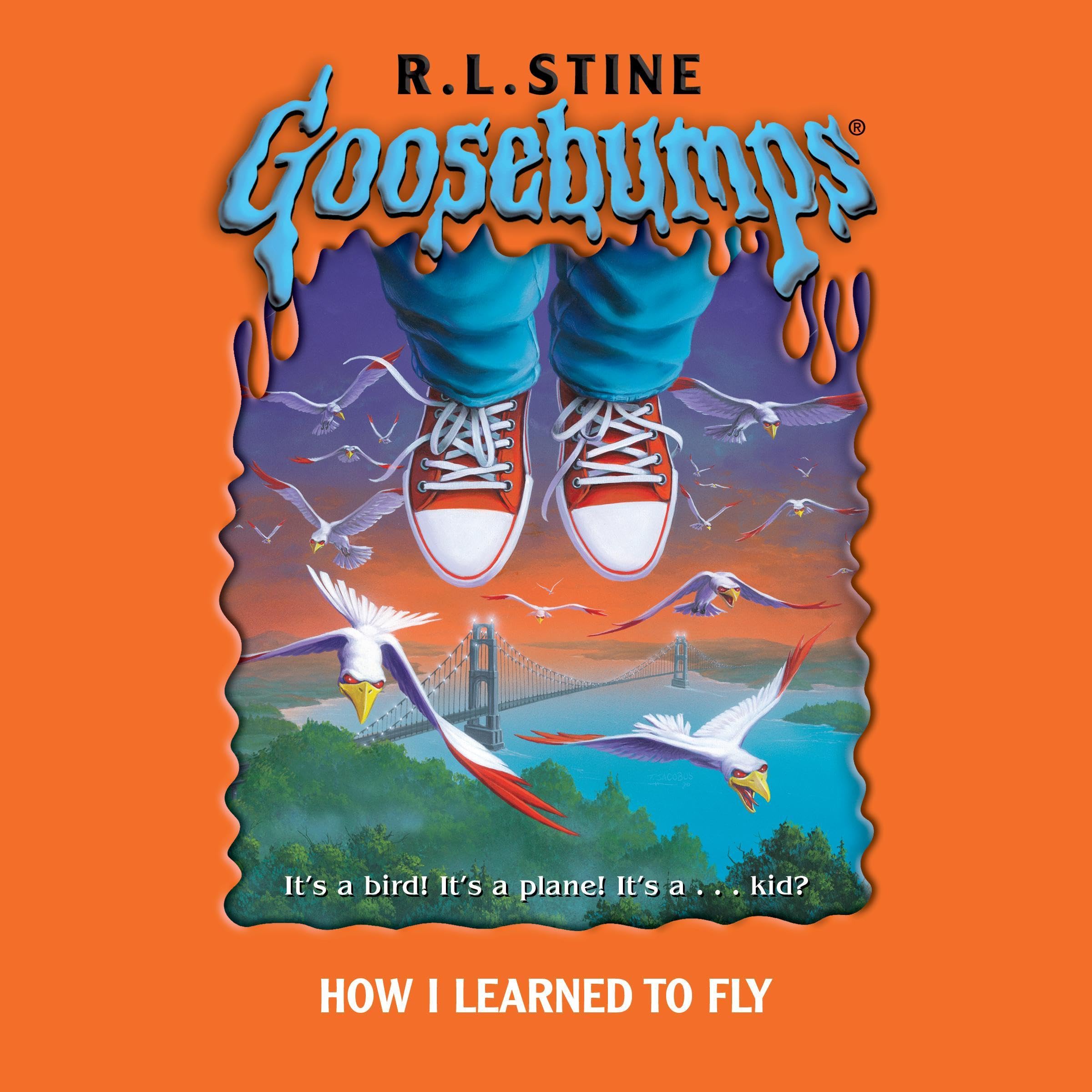 Cover art for How I Learned to Fly