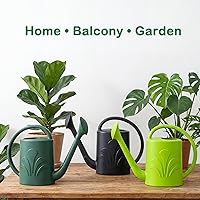 Vista 6 de Regadera de 1 galón para exteriores, regadera para plantas de interior y exterior, flor con cabezal de aspersor desmontable