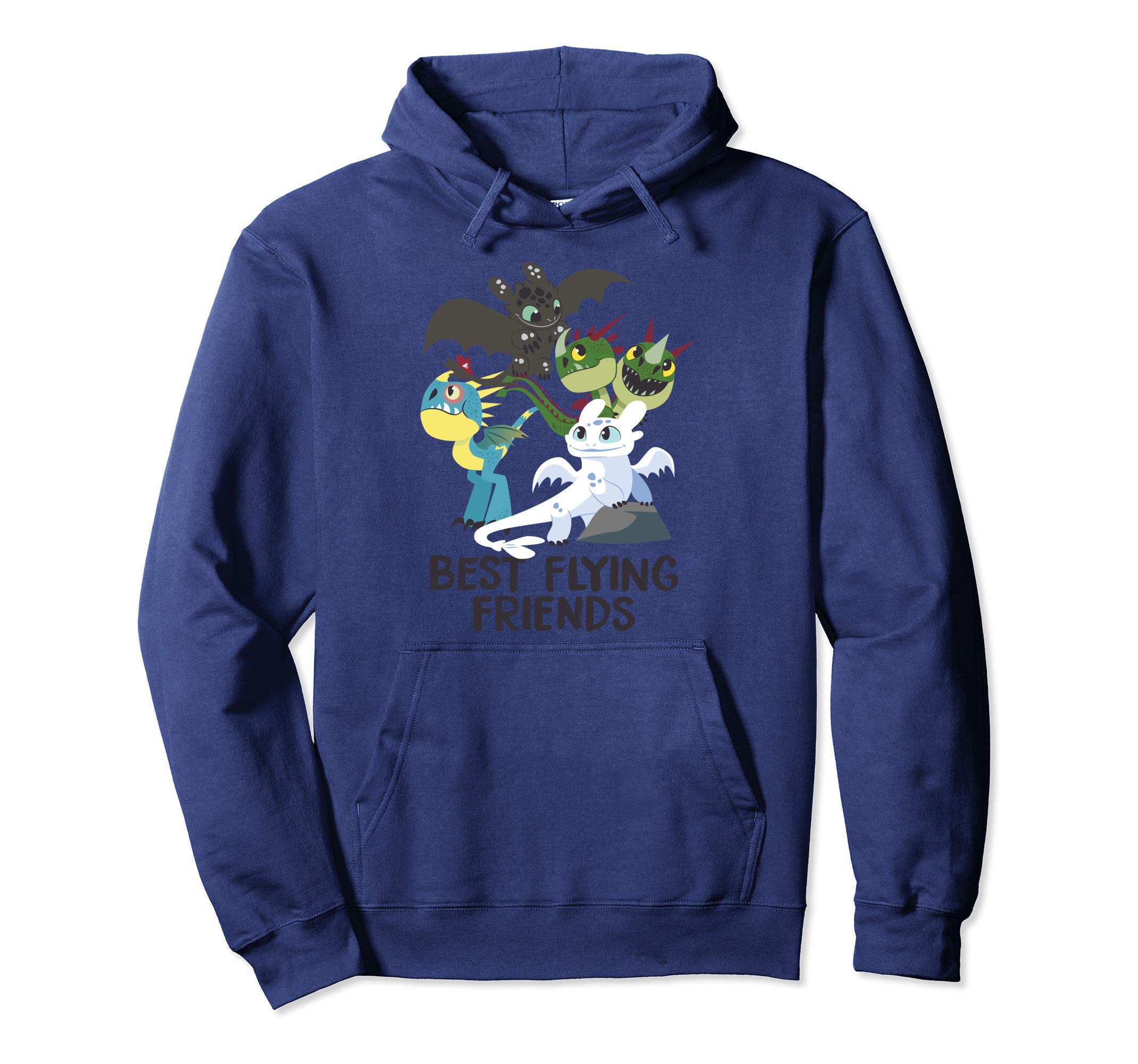 How To Train Your Dragon3 Hidden World Best Friends Pullover Hoodie