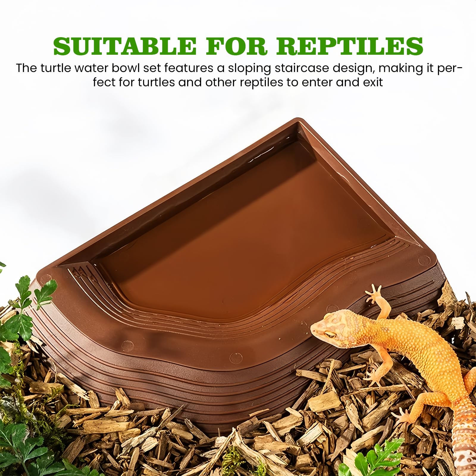 4 in 1 SchildkröTen Wasserschale Set, Landschildkröten Zubehör mit 2 Blattförmige Futterschale für Reptilien, Reptilien Wasserschale, Reptilien Wasserspender, Reptilien-Wasserschale für Eidechse