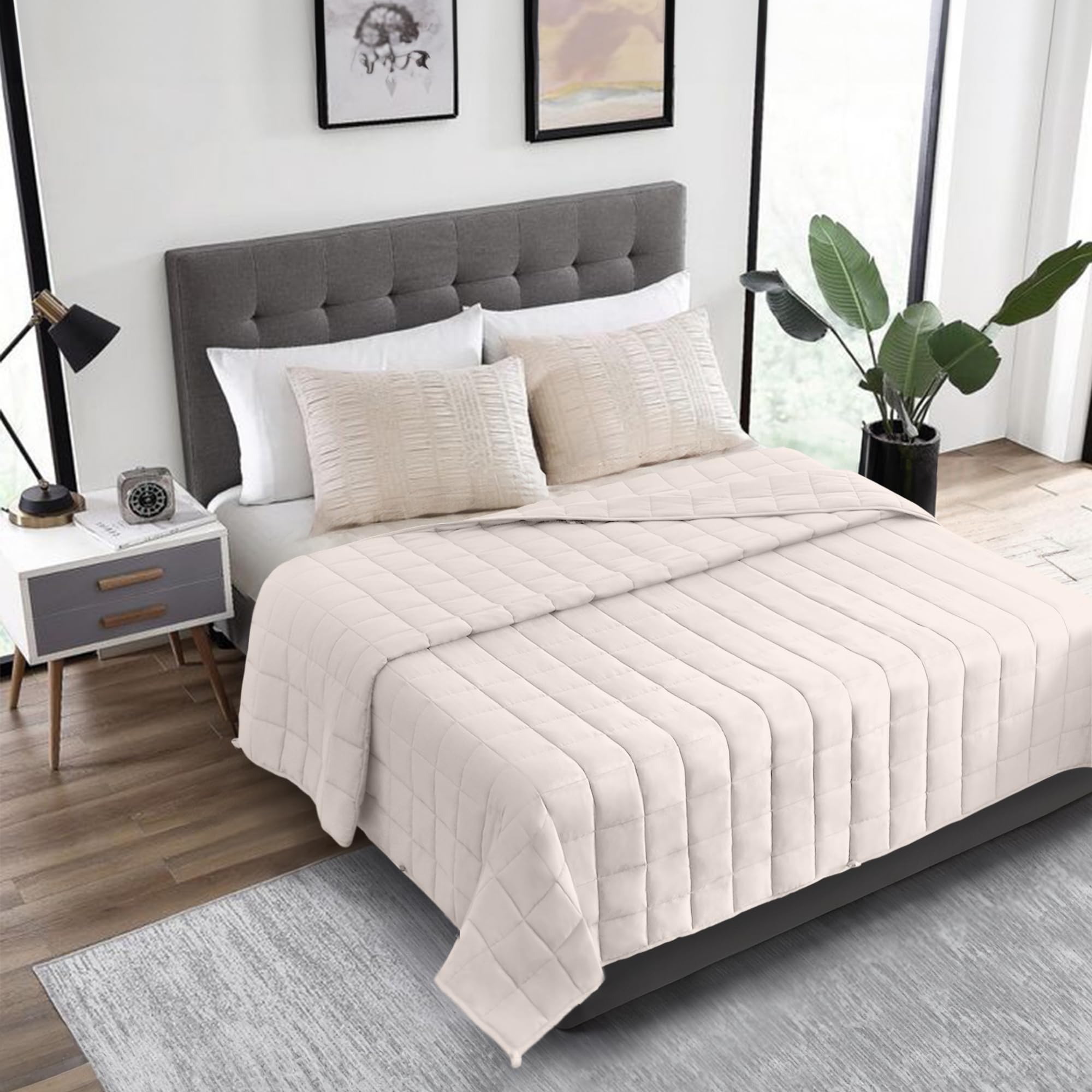 Heated Blanket Queen Size 50lb Weighted Comforter King Size