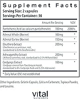 Vista 2 de Vital Nutrients Apoyo suprarrenal Suplementos de apoyo suprarrenal para la función de las glándulas y el manejo del cortisol Apoya los niveles