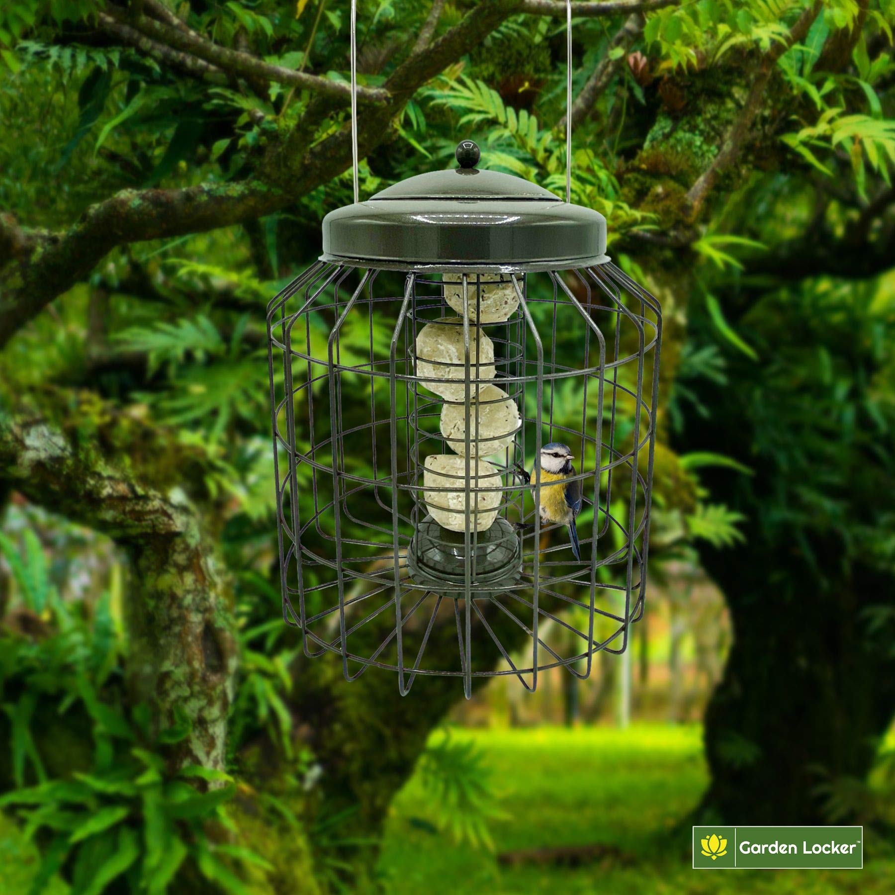 Comedero para pájaros de sebo grande y resistente a prueba de ardillas, para uso en jardín al aire libre, color marrón