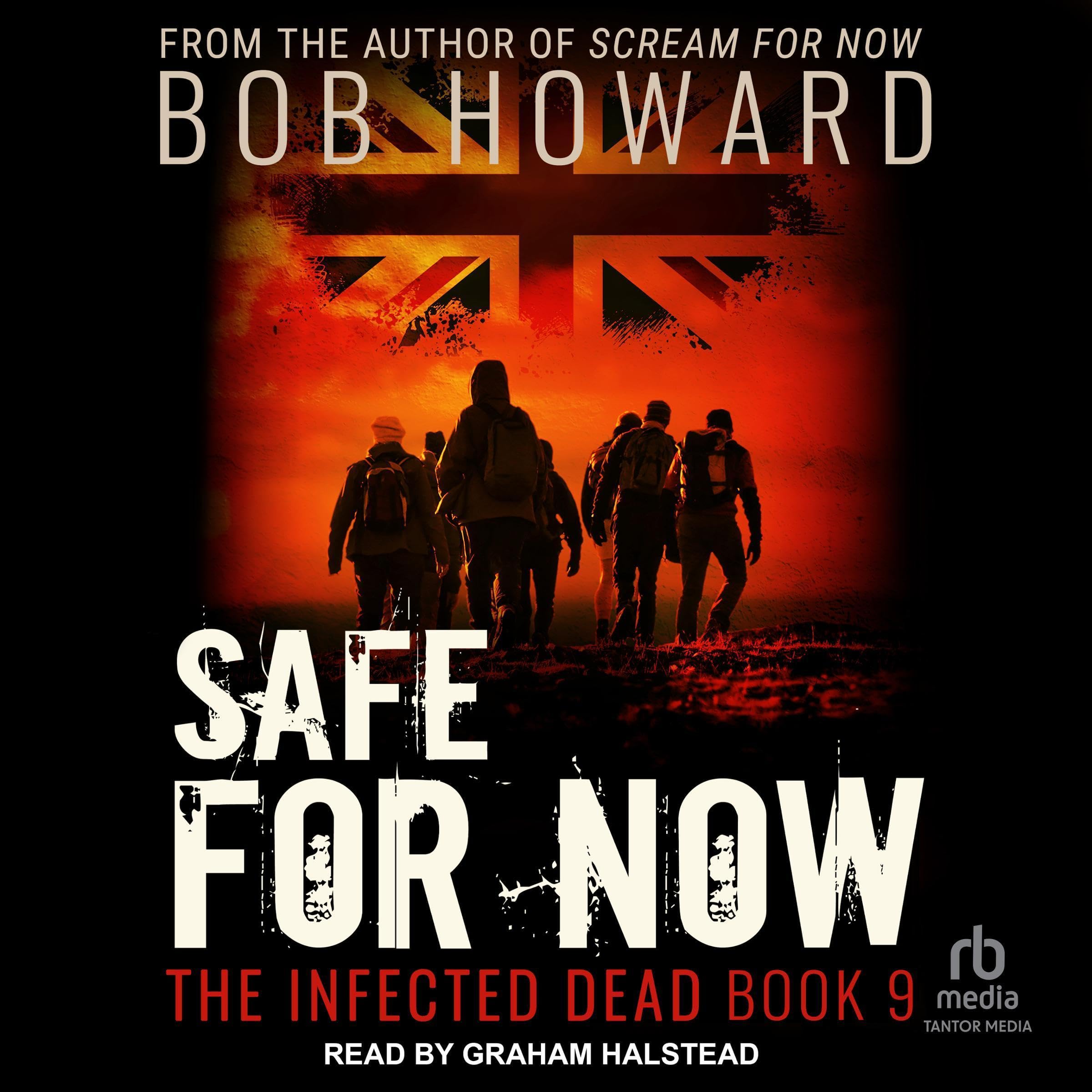 Cover art for Safe for Now