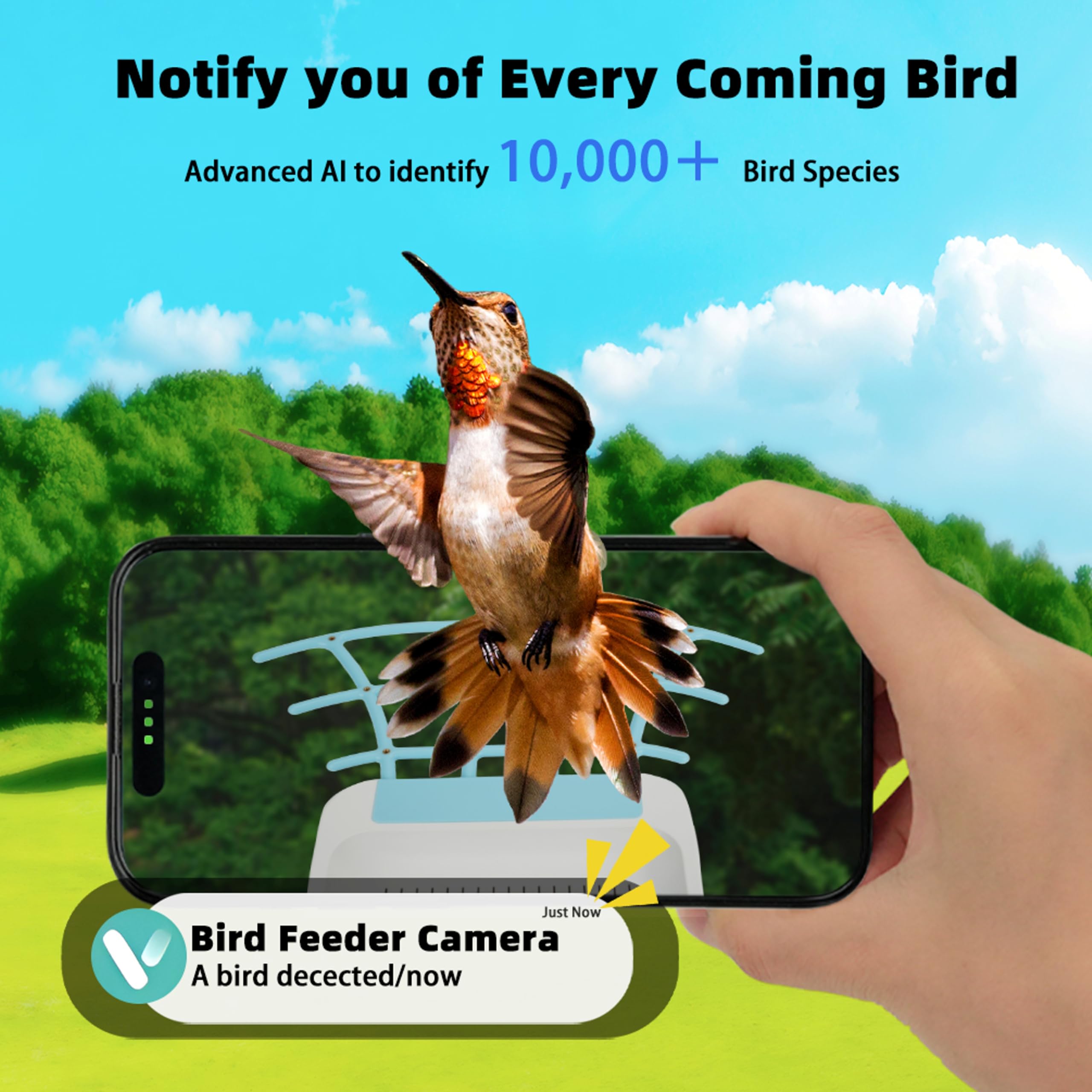 Anya uning mushuk va eshak suratini onanizm Qiz kiyimini yechdi