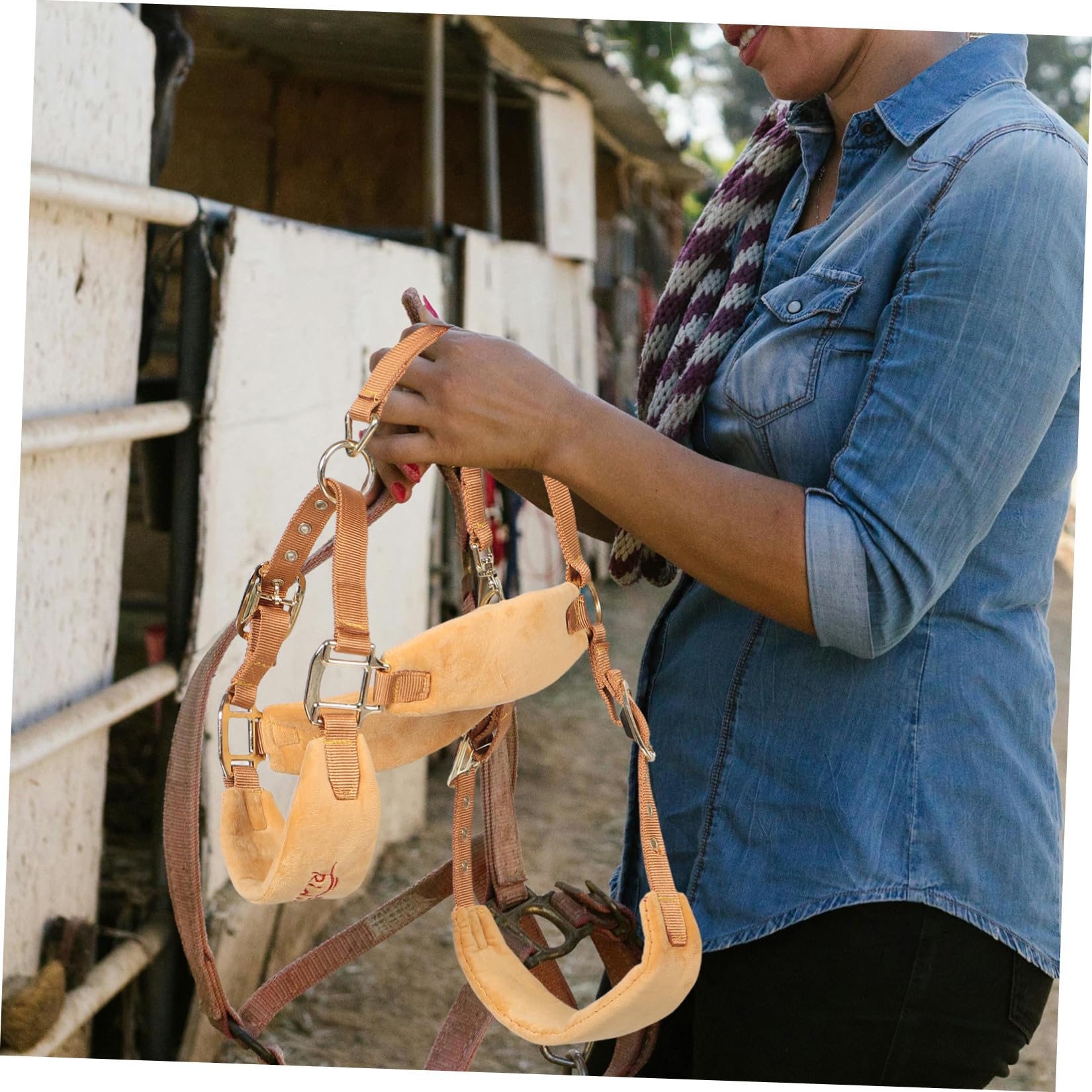 MAGICLULU Cavezza Regolabile per Cavalli in Pu Imbottita Design Moderno e vestibilità Sagomata, Accessorio Equestre per Sessioni di Addestramento e Spettacoli