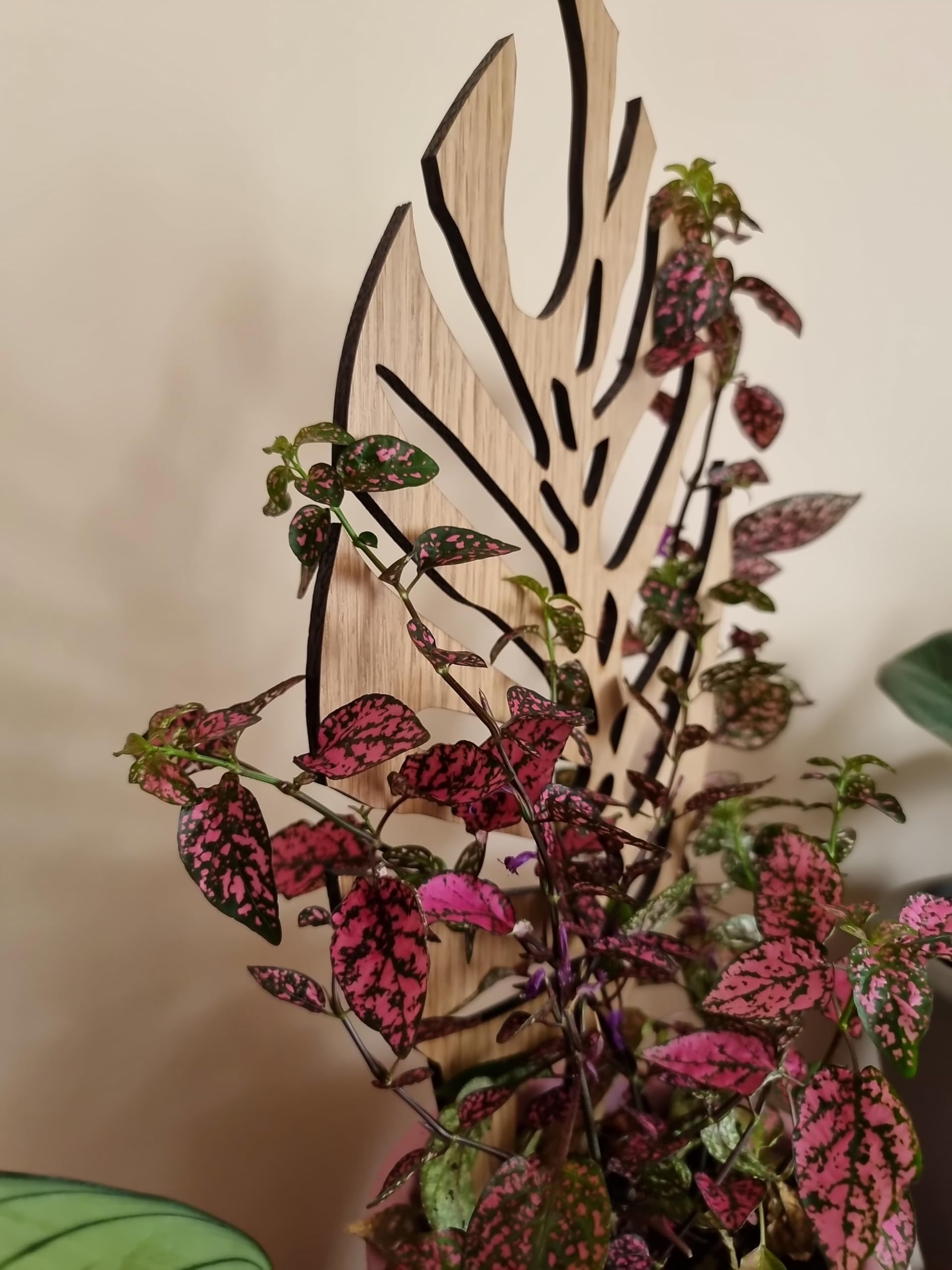 Woodream Monstera Pflanzenstütze aus Eichenholz 60 cm | Größe L | Natürliches Rankgitter - Blumengitter - Rankhilfe | Für Zimmerpflanzen | Innenraum Dekoration | Für Pflanzenliebhaber