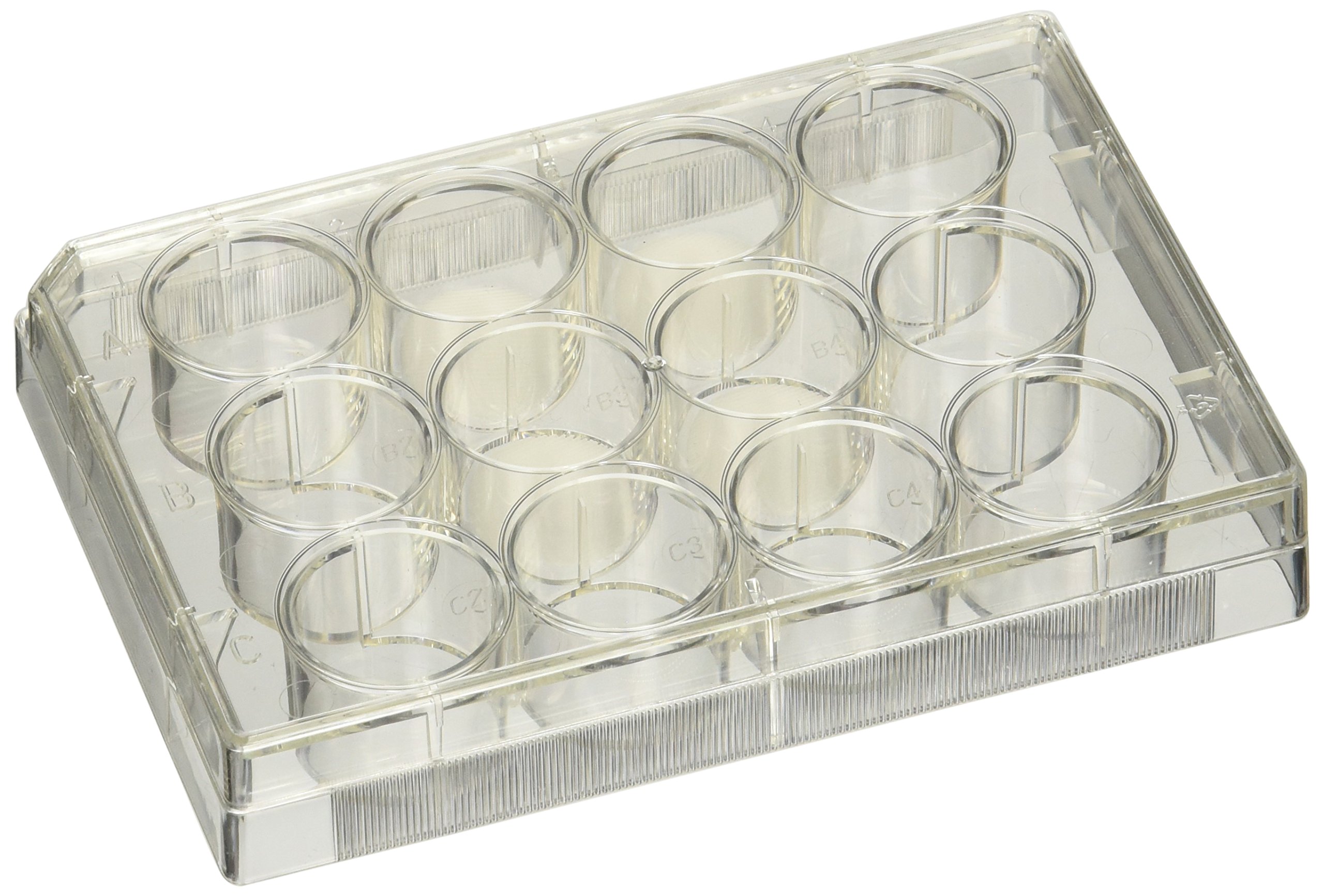 Celltreat 312063030 12 Well Culture Plate with 6 3D PCL Scaffolds, Sterile, 300µm Fiber Spacing
