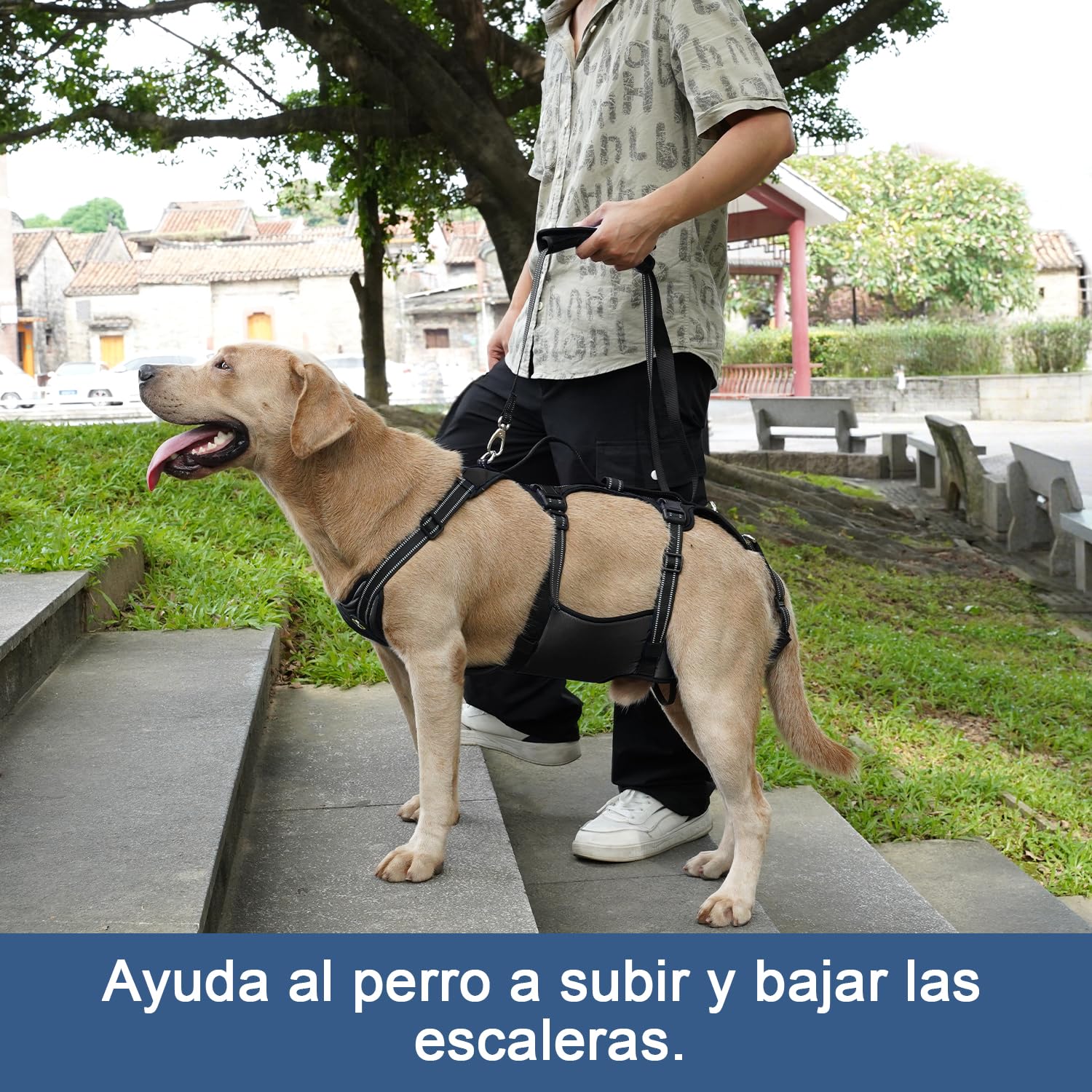 COODEO Arnés de Elevación para Perros, Faja de Apoyo Total y Rehabilitación, Chaleco Ajustable con Correas Respirables para Perros Mayores, Discapacitados o con Parálisis (Negro, L)