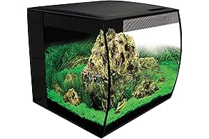 Fluval Flex 15: Compact, Feature-Rich 15g Fish Tank