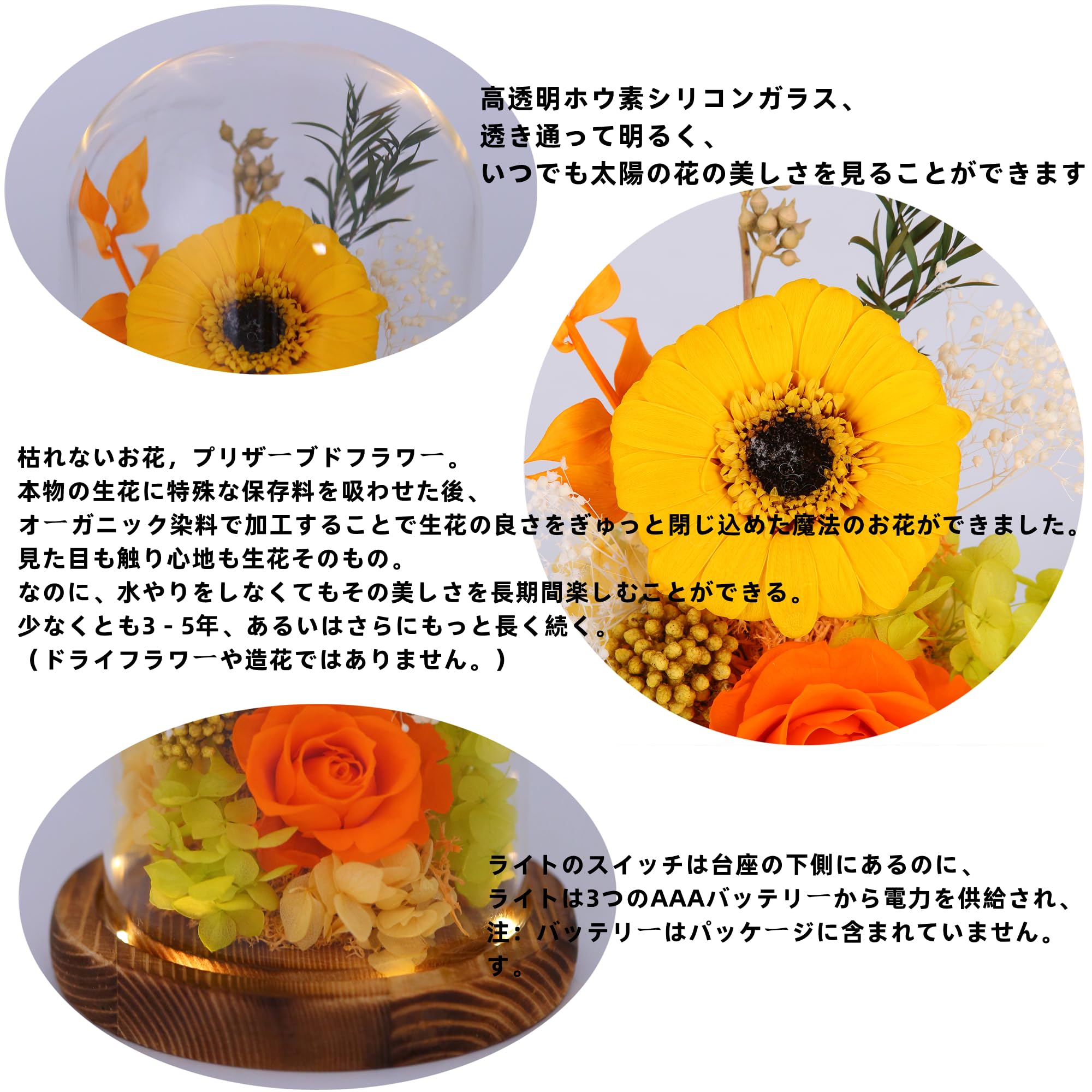 Amazon | norhor ひまわり プリザーブドフラワー プレゼント Amazon | norhor ひまわり プリザーブドフラワー プレゼント