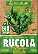 ZenGreens® - Bio Rucola Samen - Rucolasamen - Gemüsesamen für den einfachen Anbau im Garten, Balkon oder Hochbeet - Gemüse Saatgut - Salatrauke