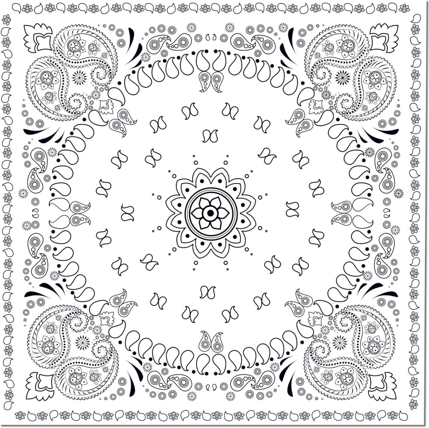 CC HOME White Bandana Birthday Paper Plates Napkins Paisley Print Disposable Tableware Set Party Supplies Western Cowboy Theme Dinnerware Sets Serves 24 Guests for Party Plates Napkins 88PCS - Image 3