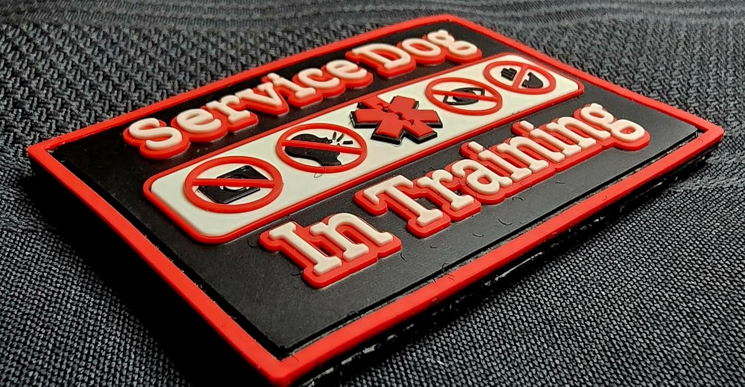 Service Dog in Training Patch PVC Rubber Glow in The Dark Medical Alert Sign do not Touch Look Speak take Pictures ada Guide Therapy Companion k9 Police Handler Velcro-Compatible (Blue) image 3