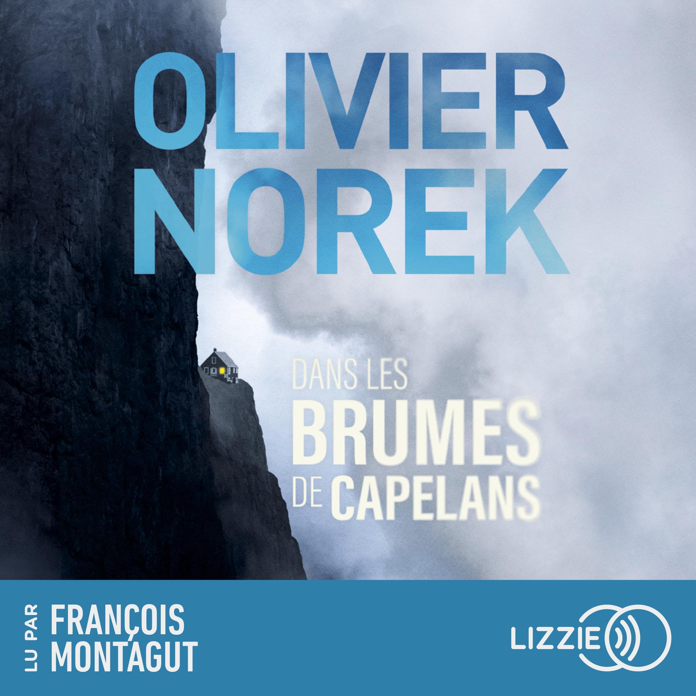 Cover art for Dans les brumes de Capelans