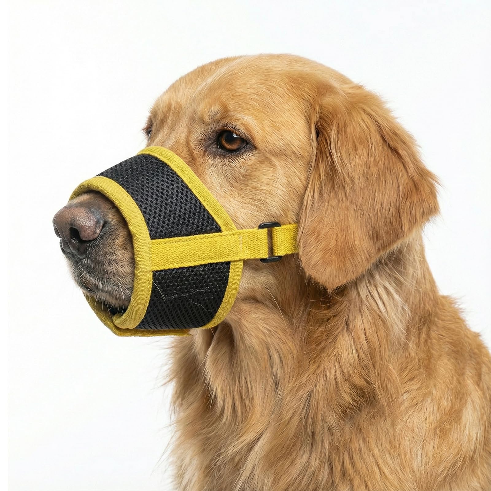 Museruola Morbida per Cani di Piccola Taglia, Bretella Regolabile in Maglia Traspirante, Sicura e Confortevole, Ideale per Toeletta, Addestramento e Viaggi (Taglia S)