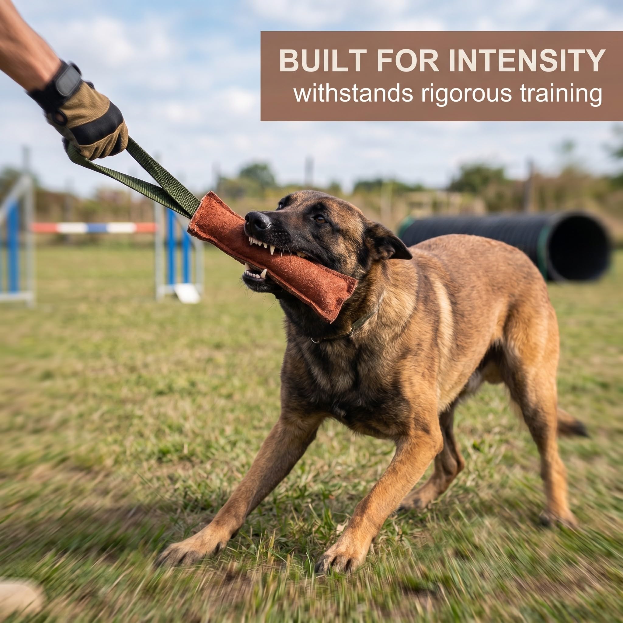 Agility Bite Tug per Cane, 1 pezzi, Divertimento per Cani, Tiro alla fune per cani, Bastone interattivo da masticare per addestramento cani