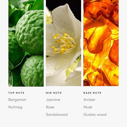 Miniatura 165 de Aroma360 Dream On - Mezcla de aceites aromáticos – 16.9 fl oz – Aceite difusor de aromaterapia perfumado con té blanco sereno, aloe vera curativo