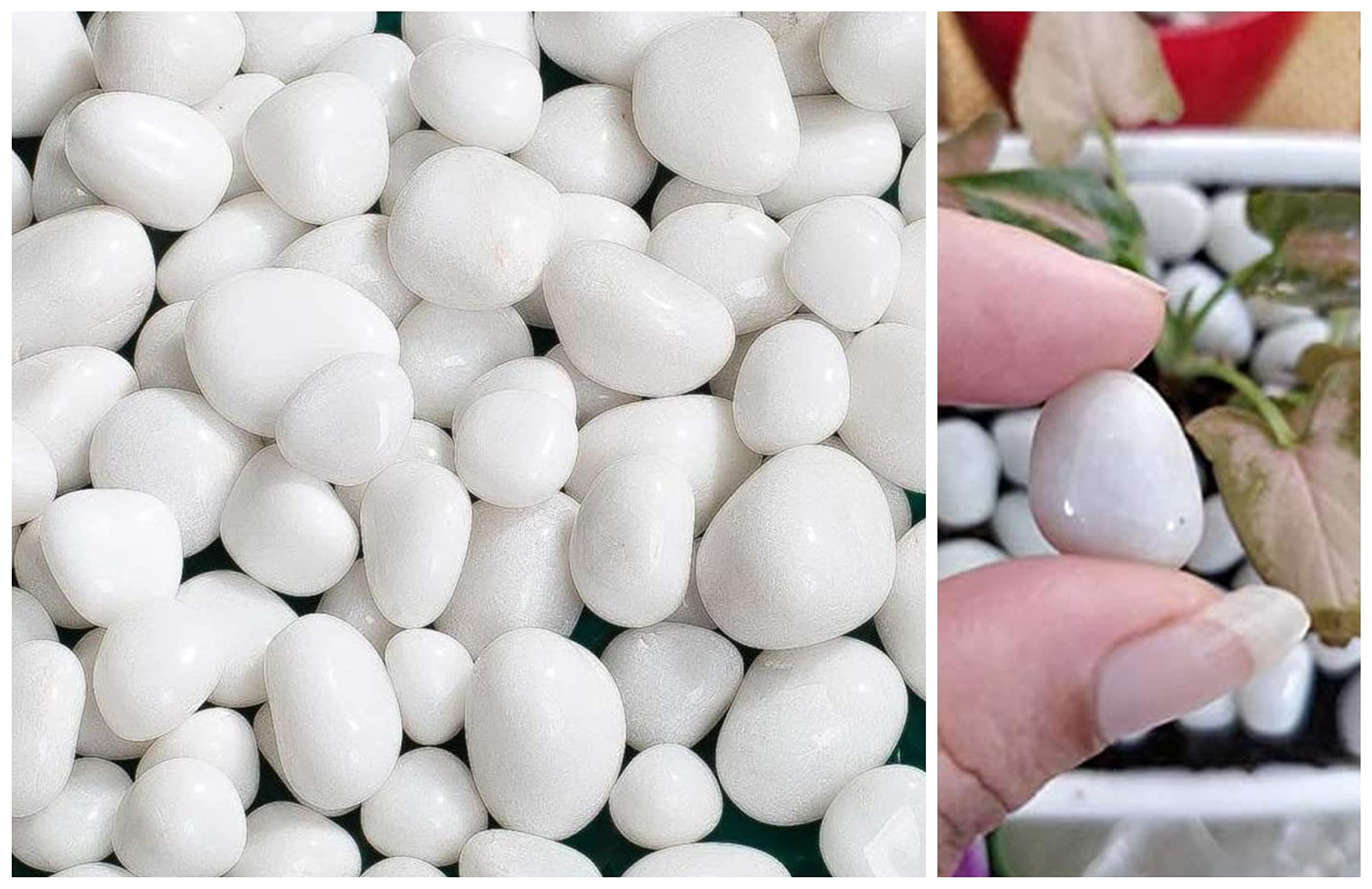 White Rocks, Highly Polished Decorative Pebbles for Plants, Garden, Landscaping, Vase, 0.5/1 Inch, Model - SM 107 (SM 107 1 kg) (B09PJR9DY8) Amazon Price History, Amazon Price Tracker