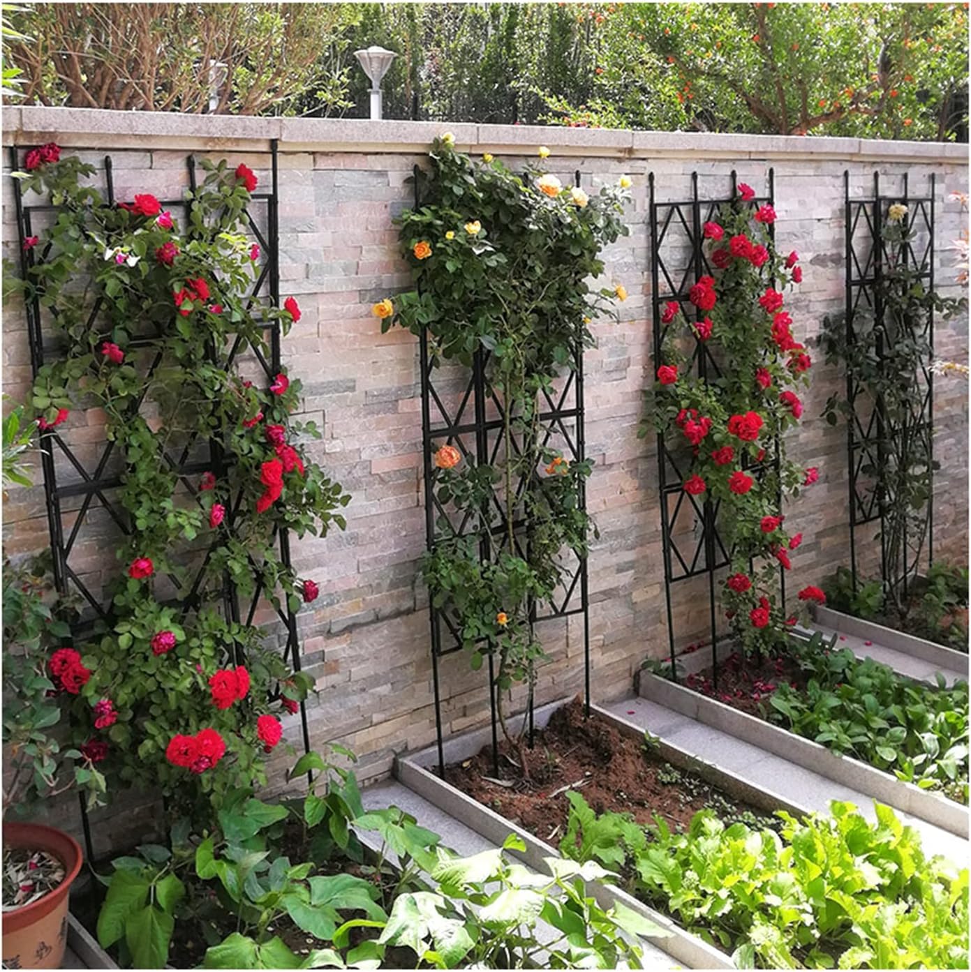Traliccio da Giardino,impianto Rampicante,Traliccio di Ferro Robusto,Pannello A Griglia per Reticoli Metallici da Giardino All'aperto in Ferro,per Cortile,Piante Rampicanti, 57 * 220cm/22.4 * 86.6in