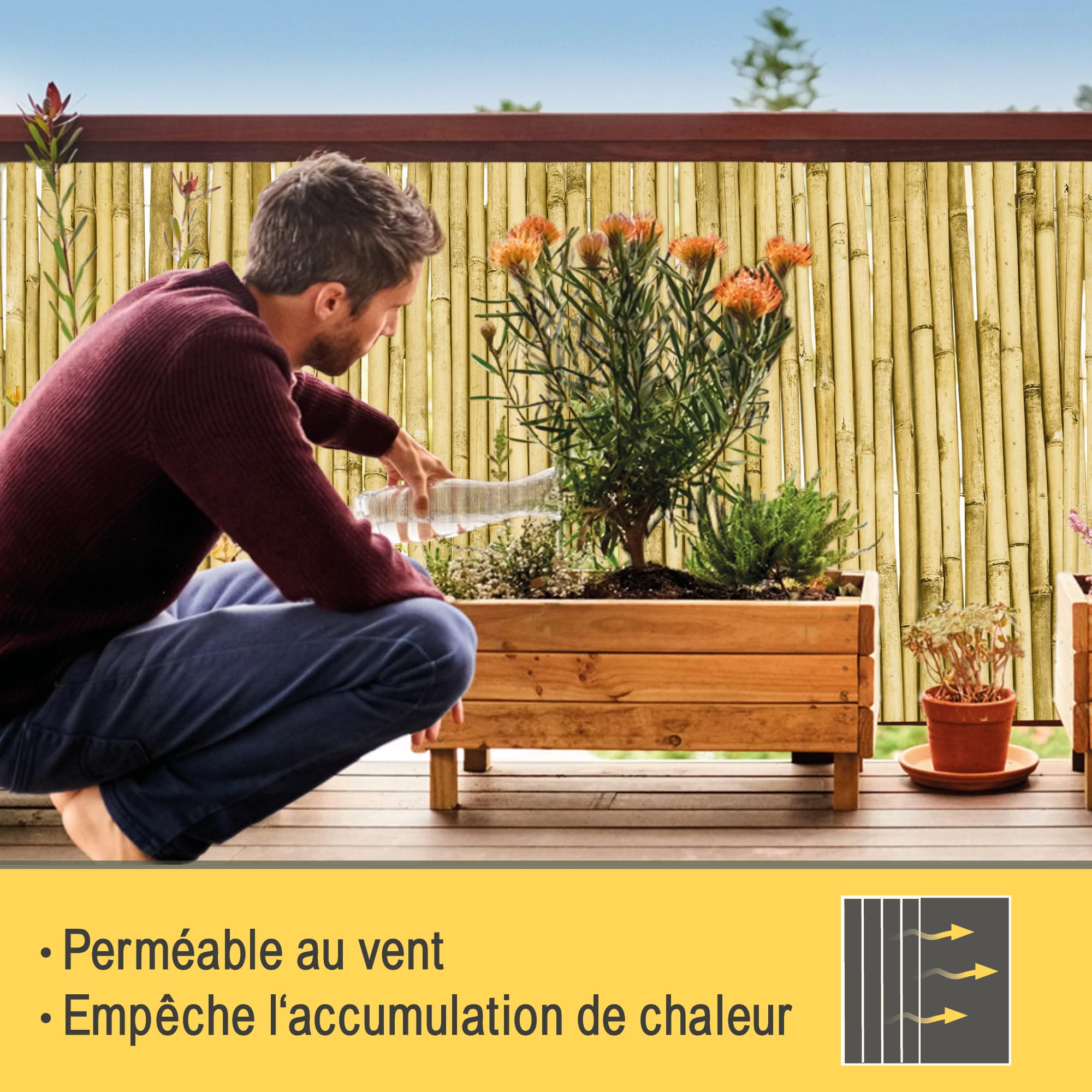 Sol Royal Premium Canisse Brise Vue Bambou Clair Brillant 180x250 cm – Canisse Bambou Balcon Palissade Jardin Exterieur – Cache Brise Vue Balcon 1,8m hauteur Pare Vue Terrasse Extérieur
