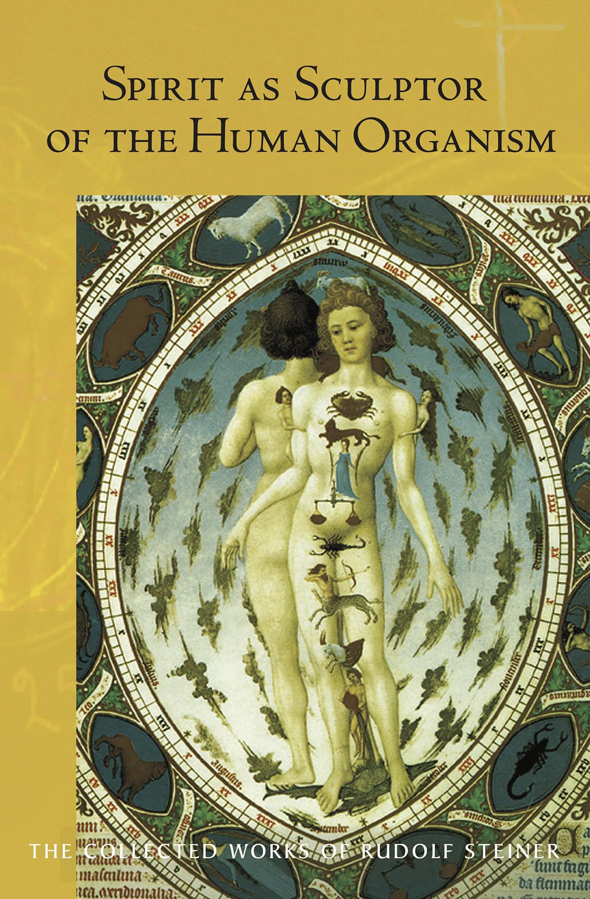Spirit as Sculptor of the Human Organism: (Cw 218) Volume 218 (Collected Works of Rudolf Steiner)