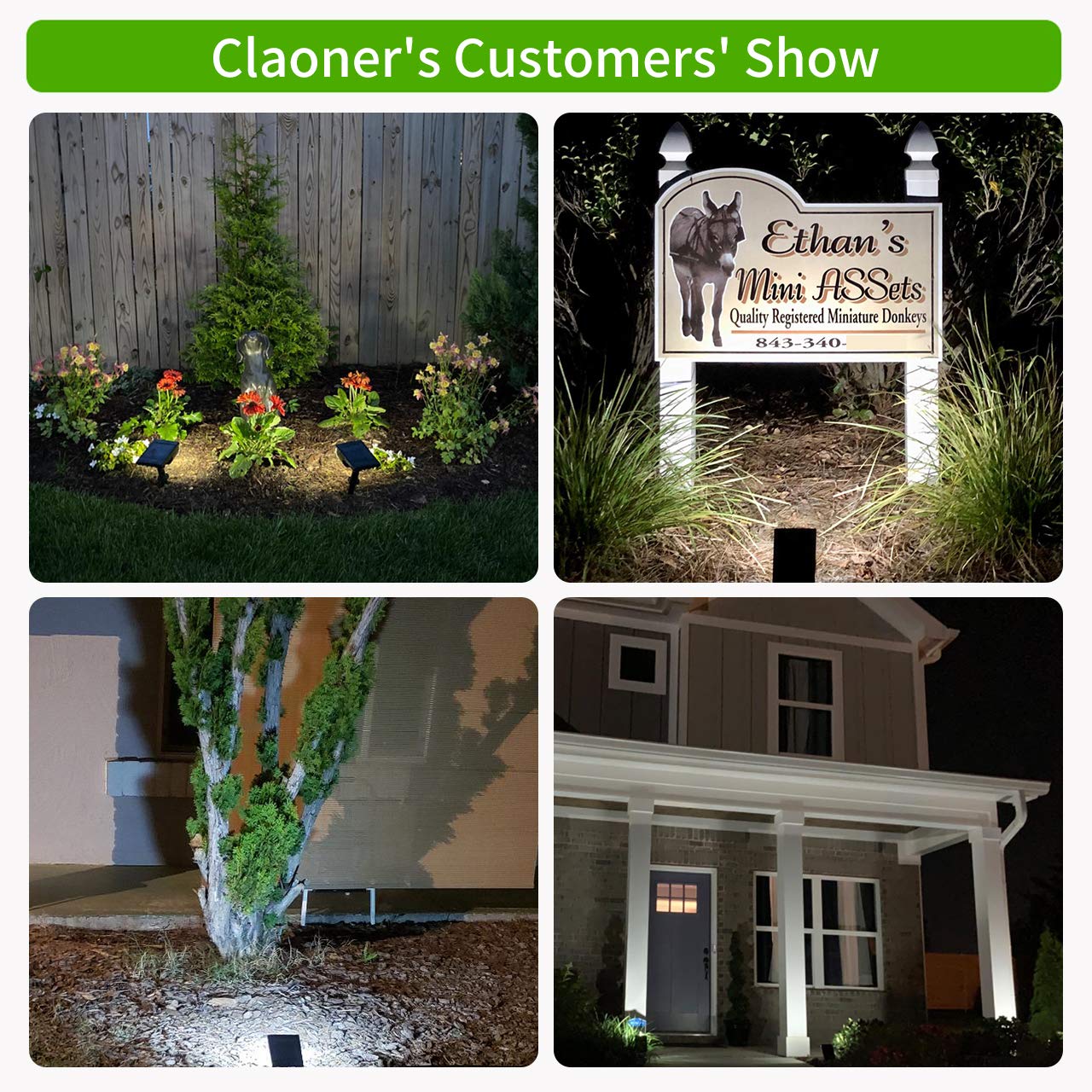 Free Delivery & Gift Wrapping Order online Terrace MCTECH Rechargeable