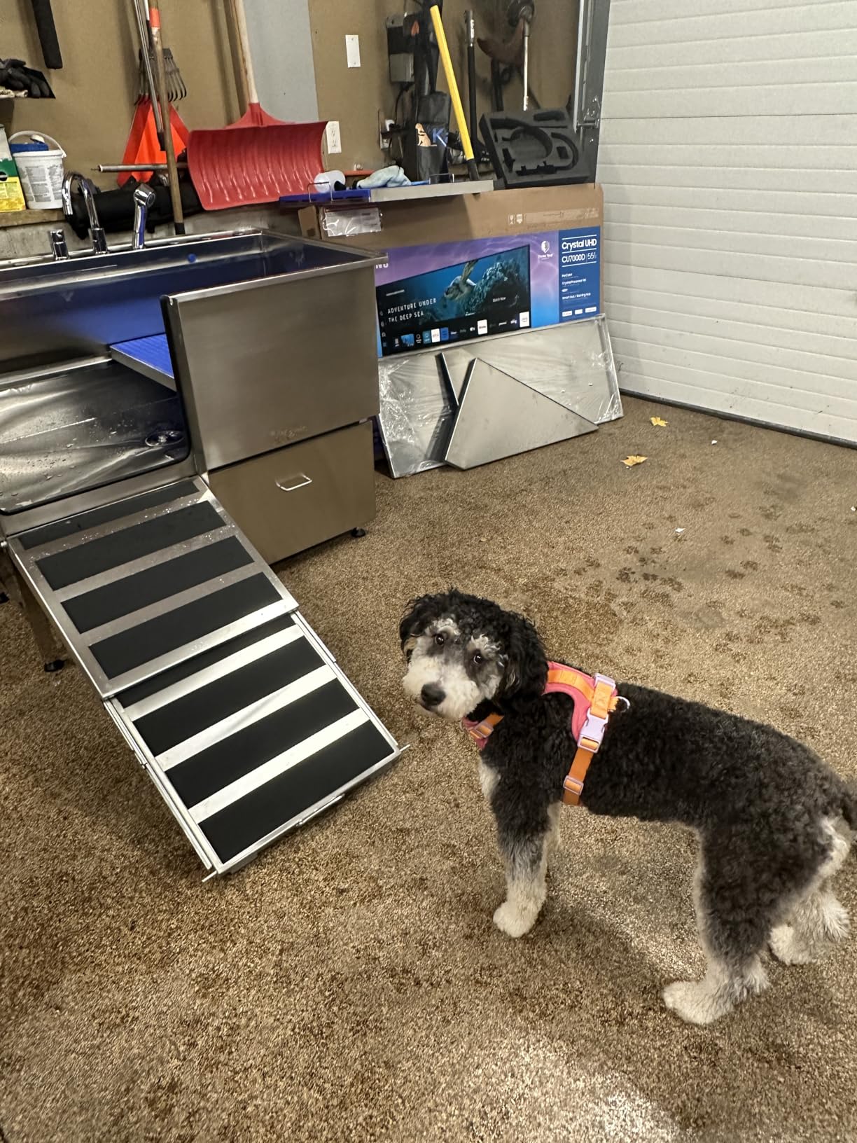 Dog Grooming Bath KANIS 38