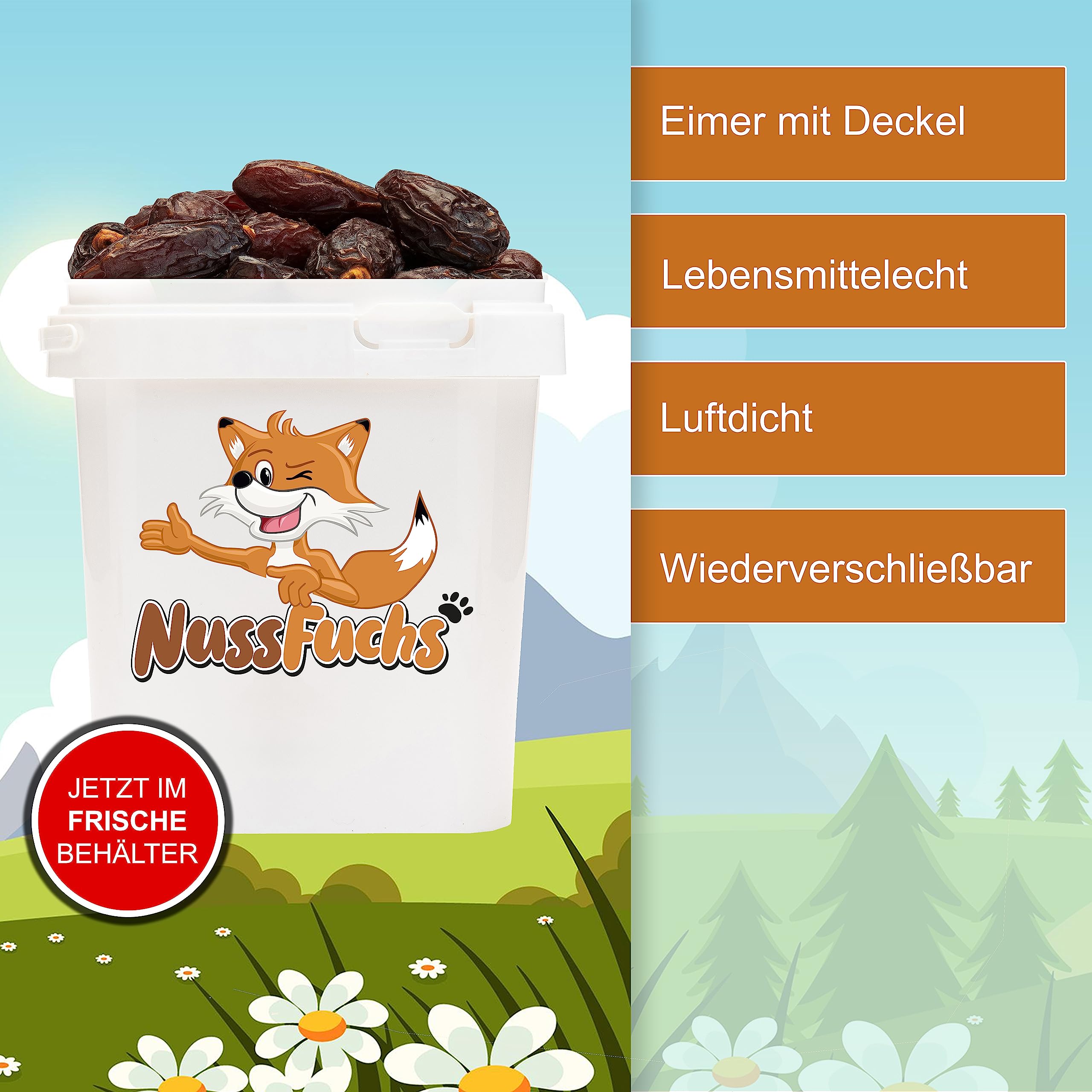 Datteln Medjoul 3kg im Eimer Natur mit Stein ungeschwefelt NussFuchs