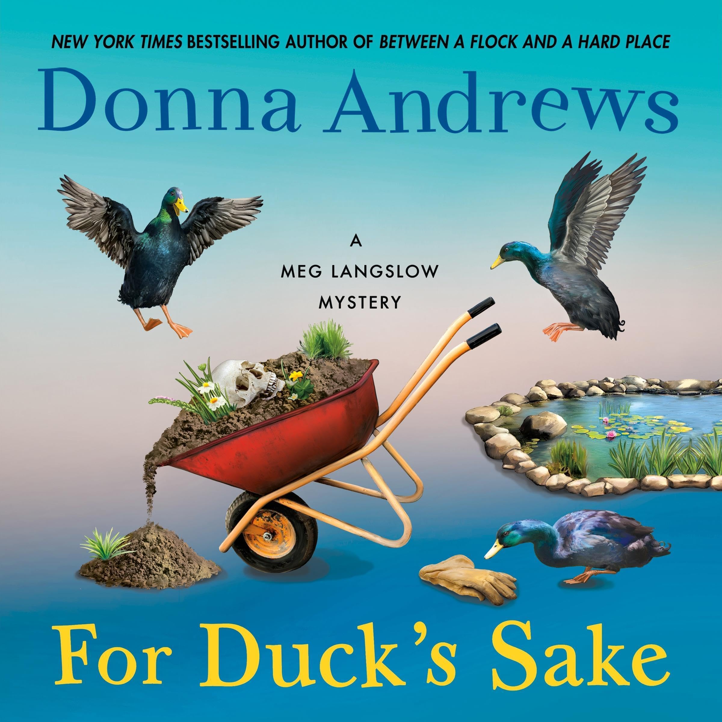 Cover art for For Duck's Sake